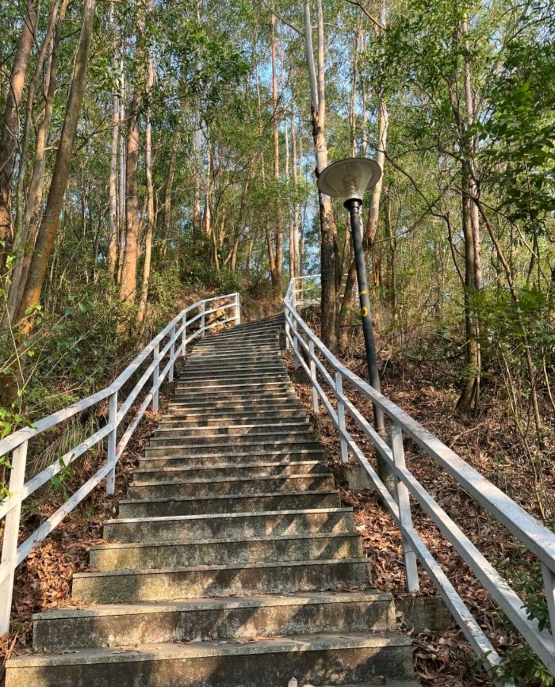 石芽岭公园旅行图片 2
