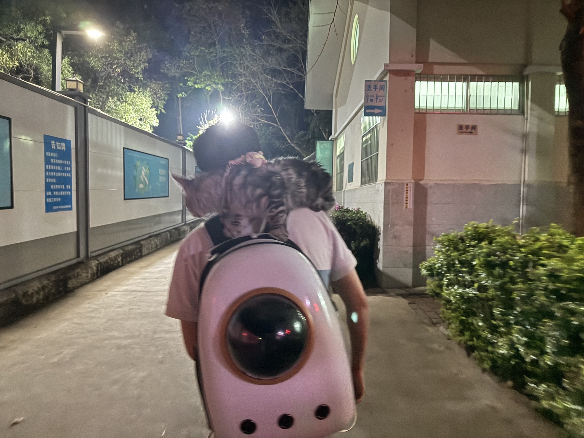石芽岭公园旅行图片 1