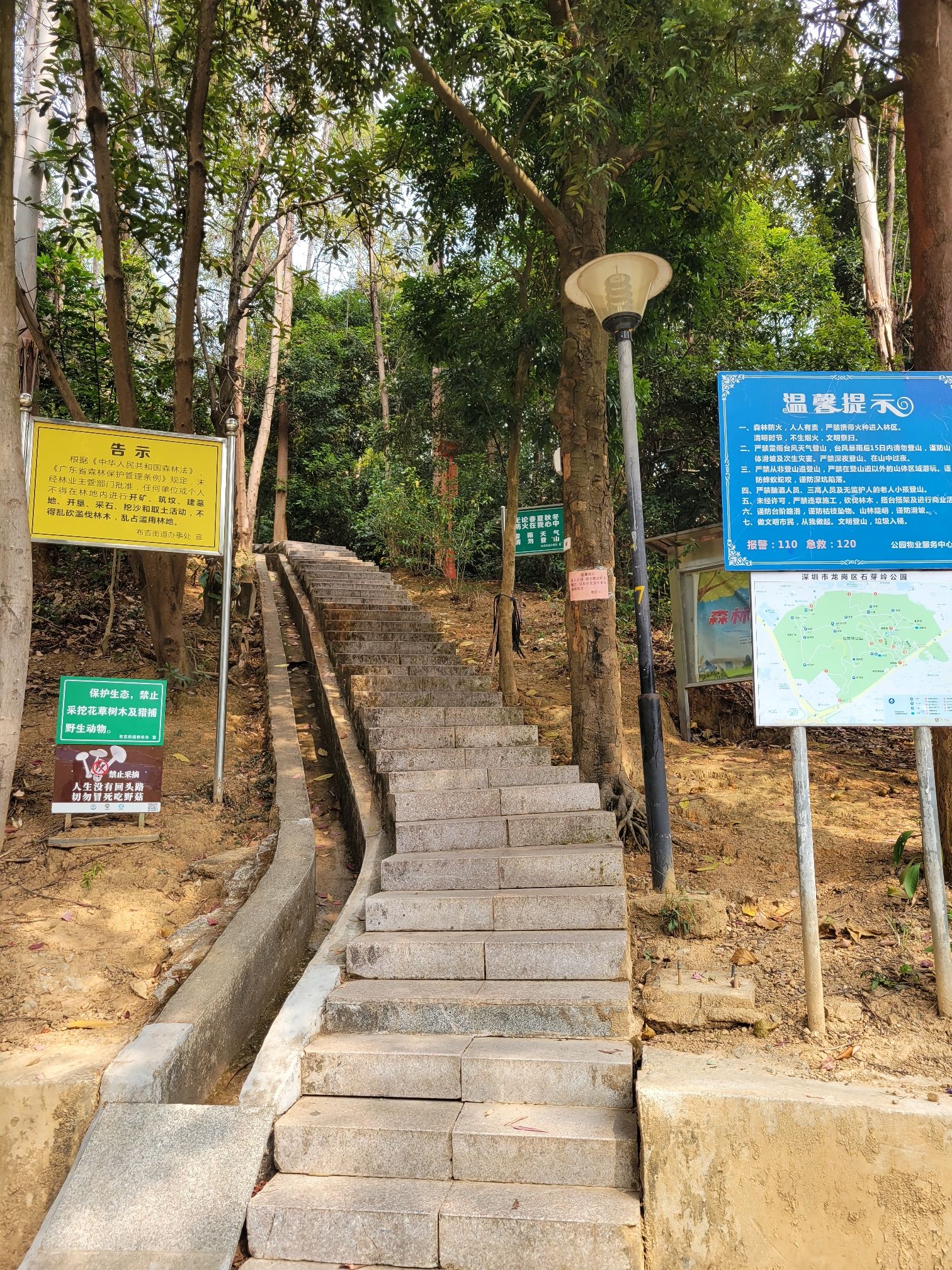 石芽岭公园旅行图片 2