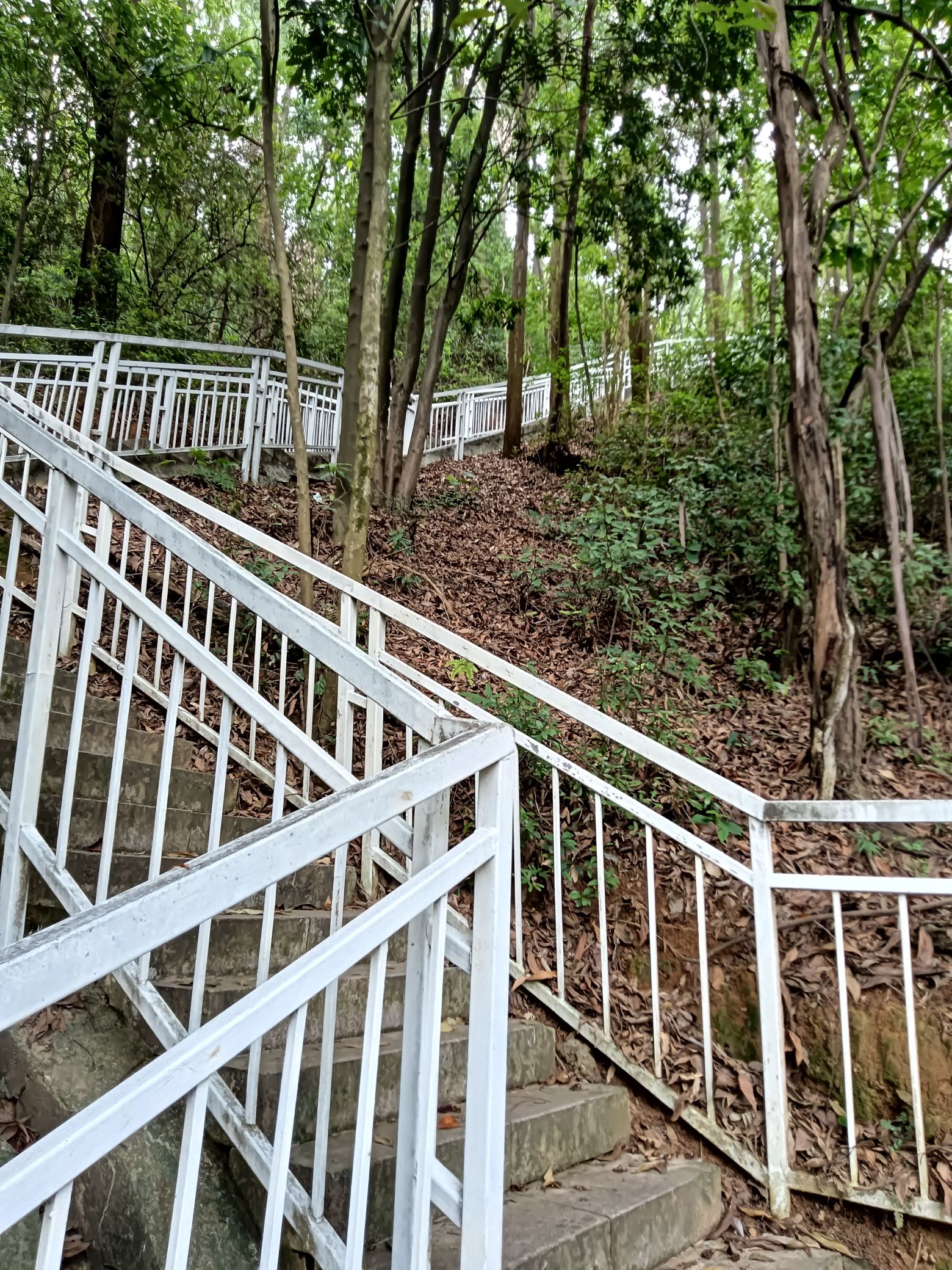 石芽岭公园旅行图片 3