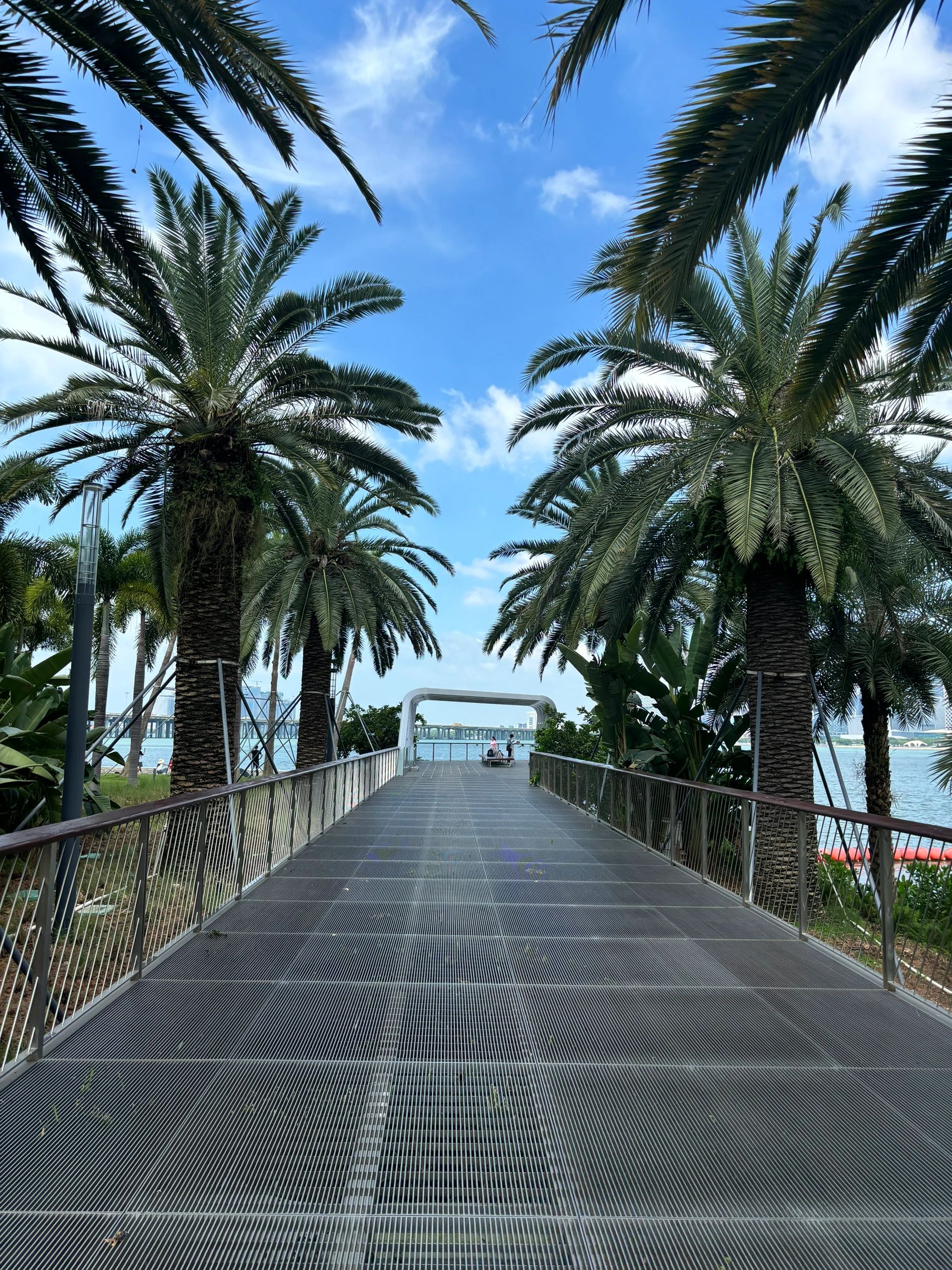 前海公园旅行图片 3