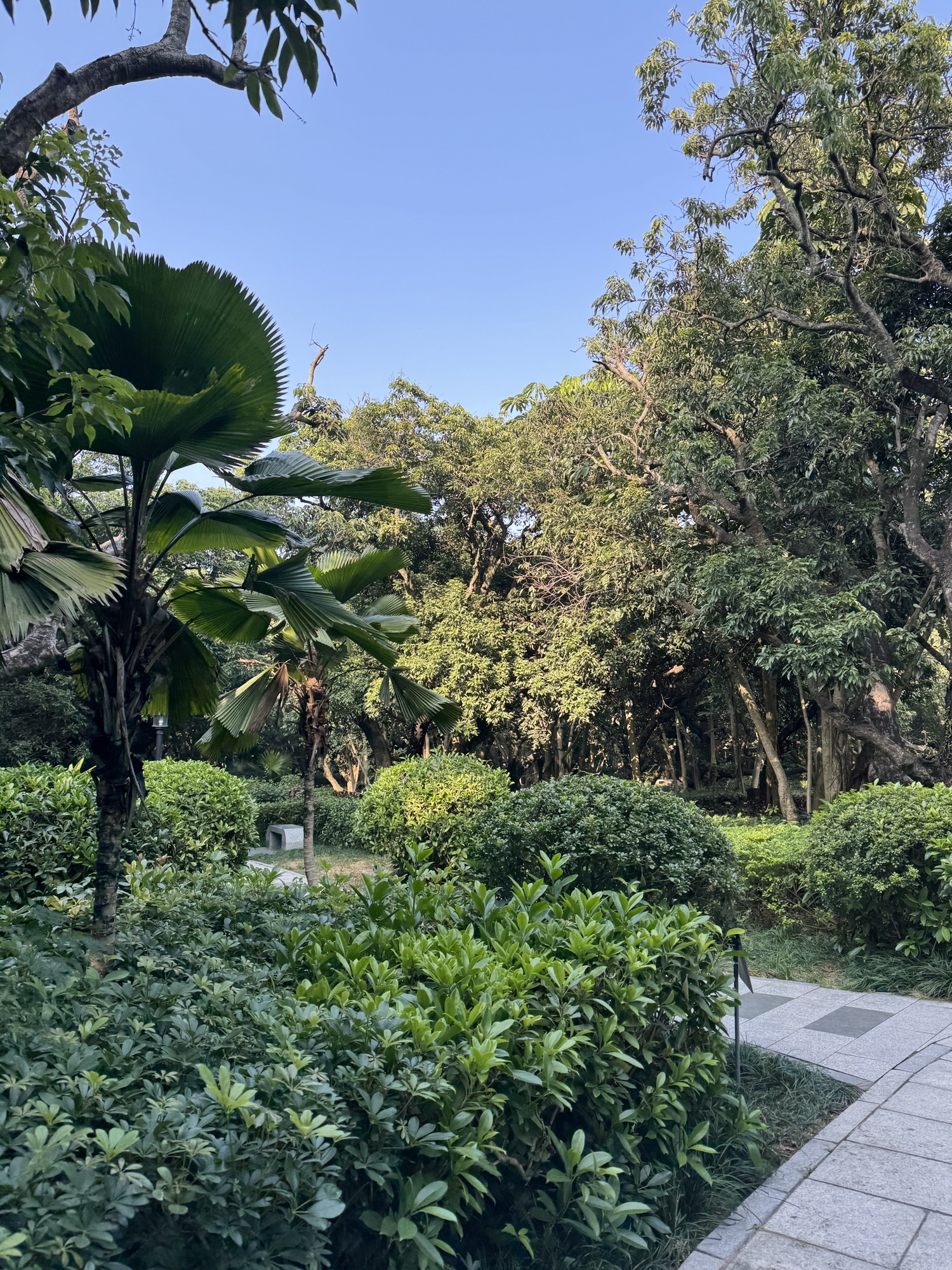 月亮湾公园旅行图片 3