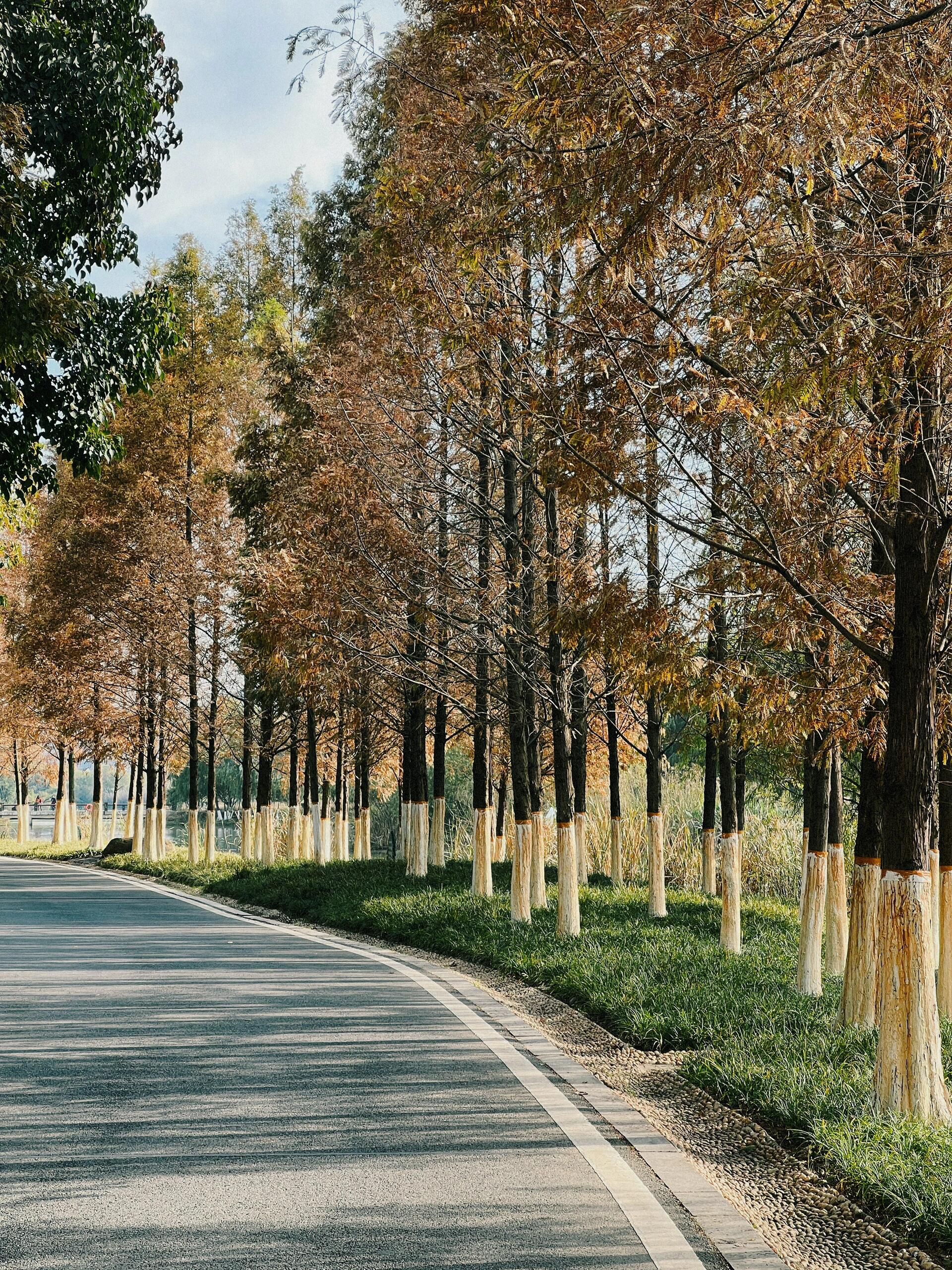 月亮湾公园旅行图片 2