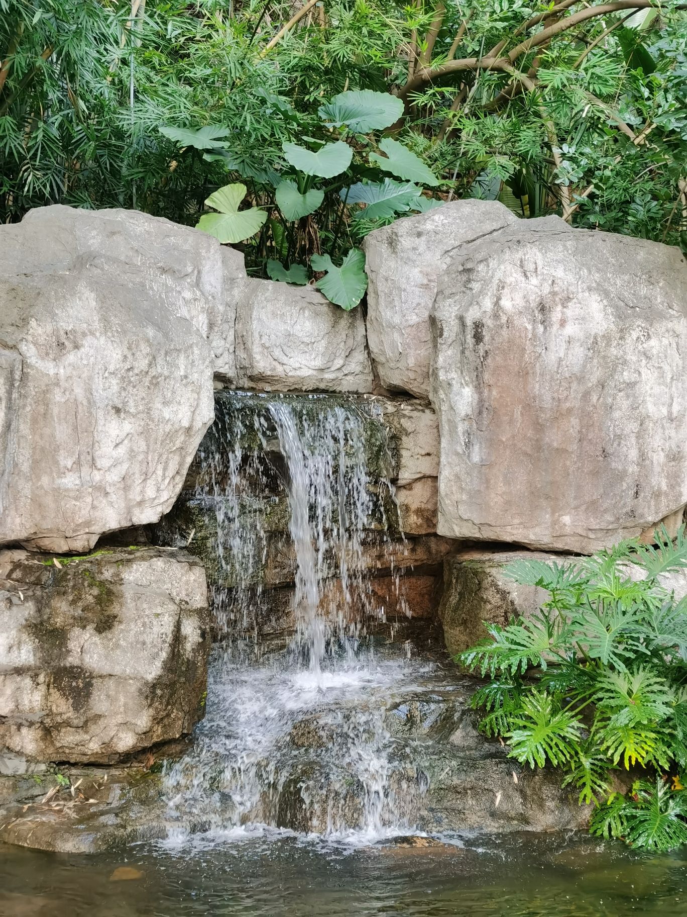 石鼓山公园旅行图片 2