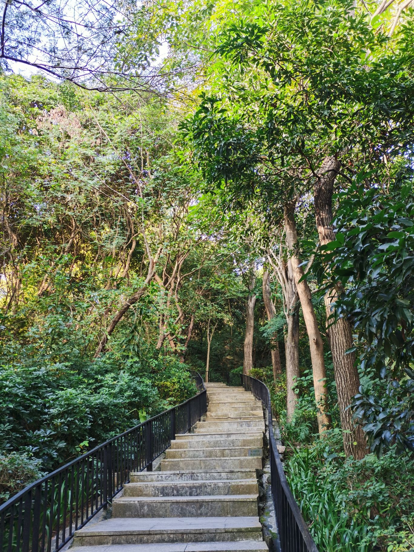 石鼓山公园旅行图片 1