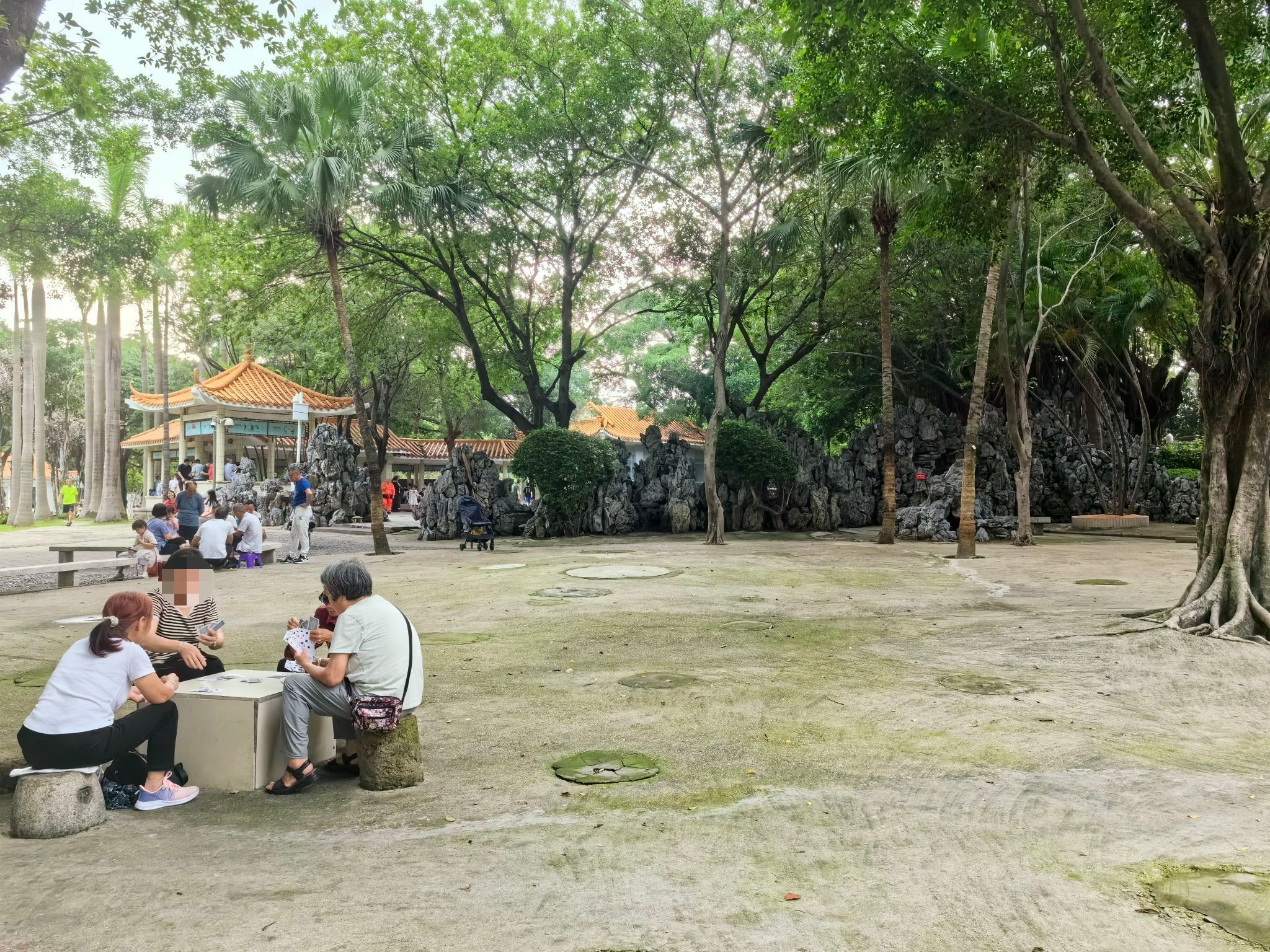 西乡公园旅行图片 2