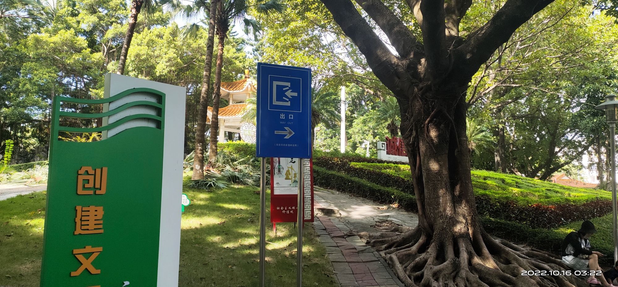 西乡公园旅行图片 3