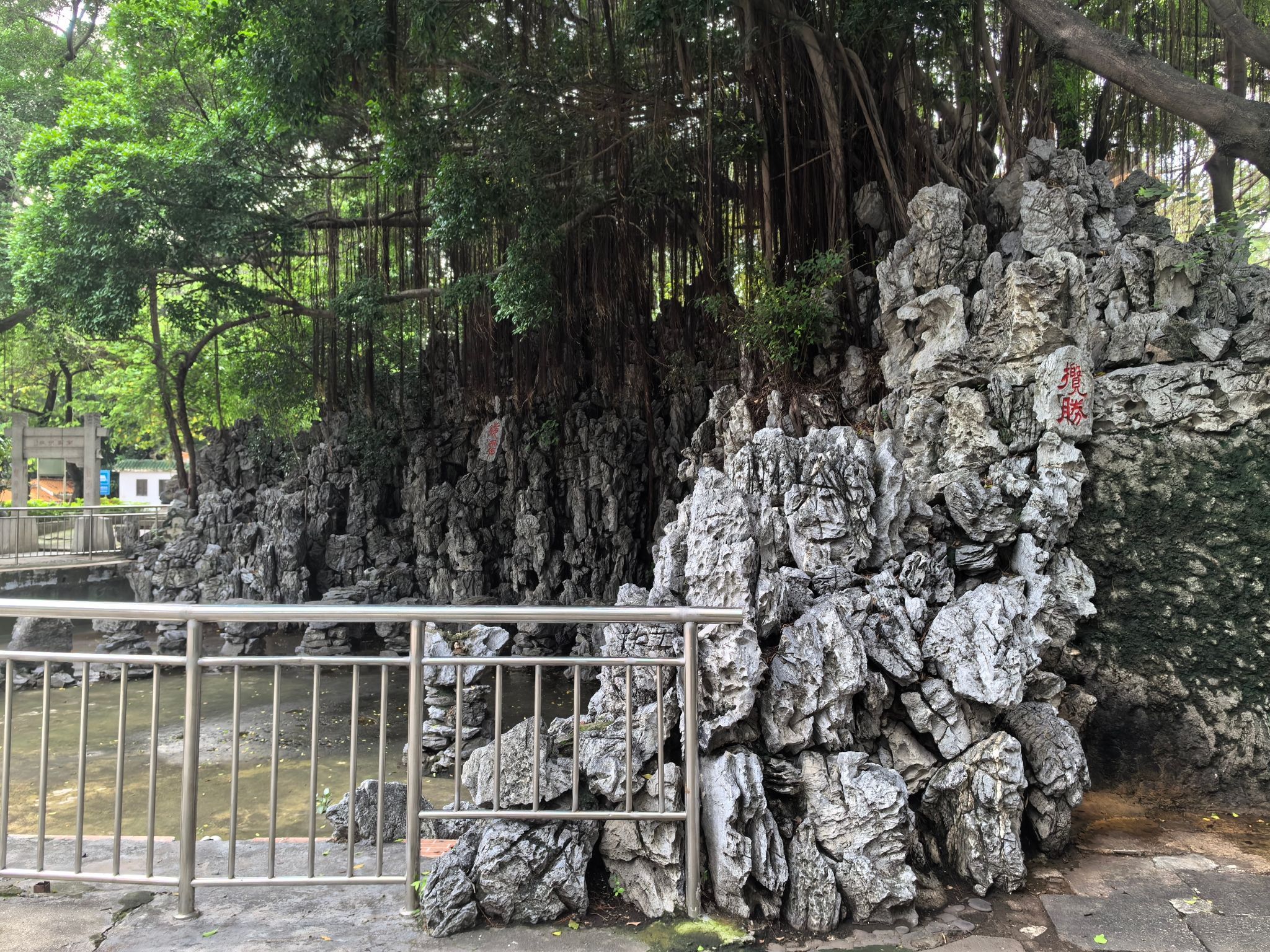 西乡公园旅行图片 3