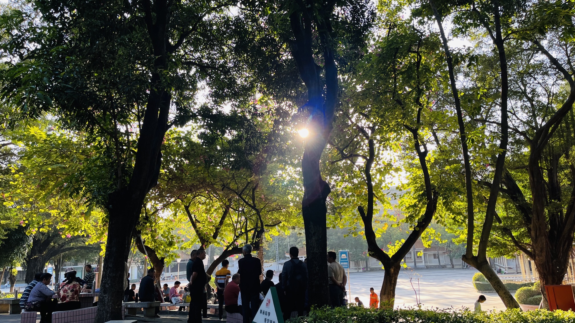 西乡公园旅行图片 2
