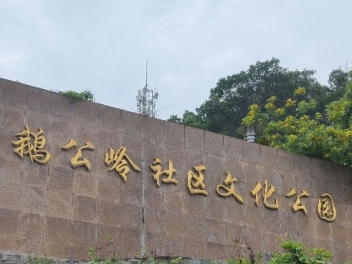鹅公岭社区公园旅行图片 1