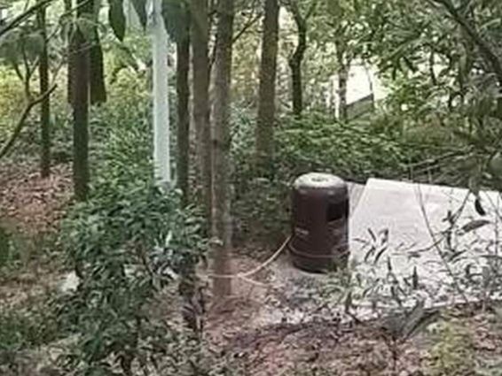鹅公岭社区公园旅行图片 2