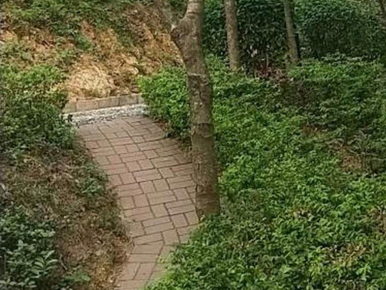 鹅公岭社区公园旅行图片 3