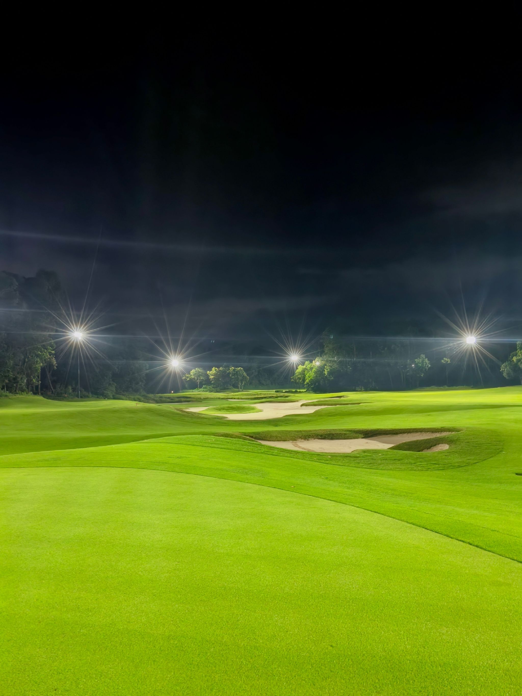 场地封面-尼克费度球场