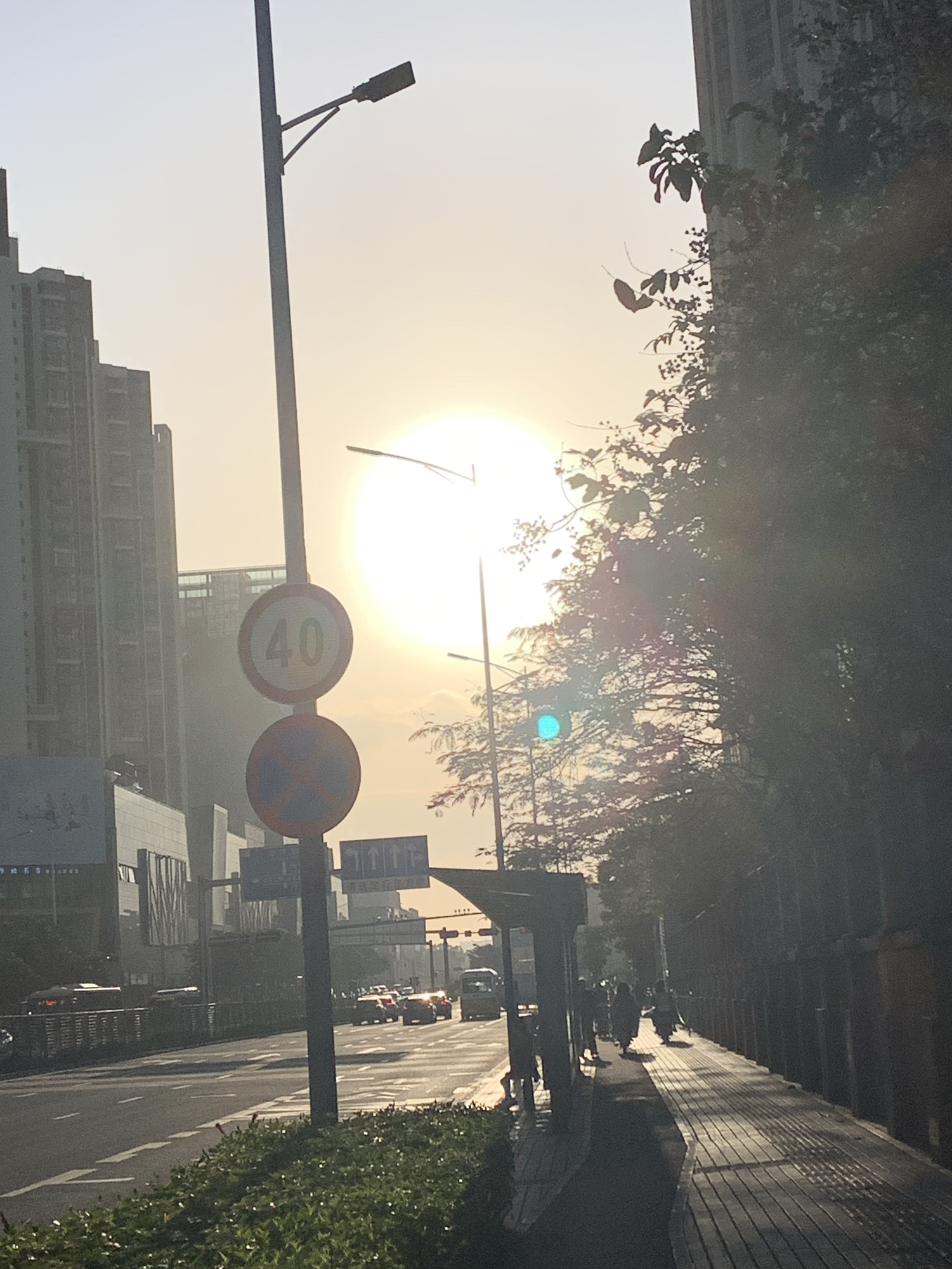 深圳市坪山区中心广场旅行图片 1
