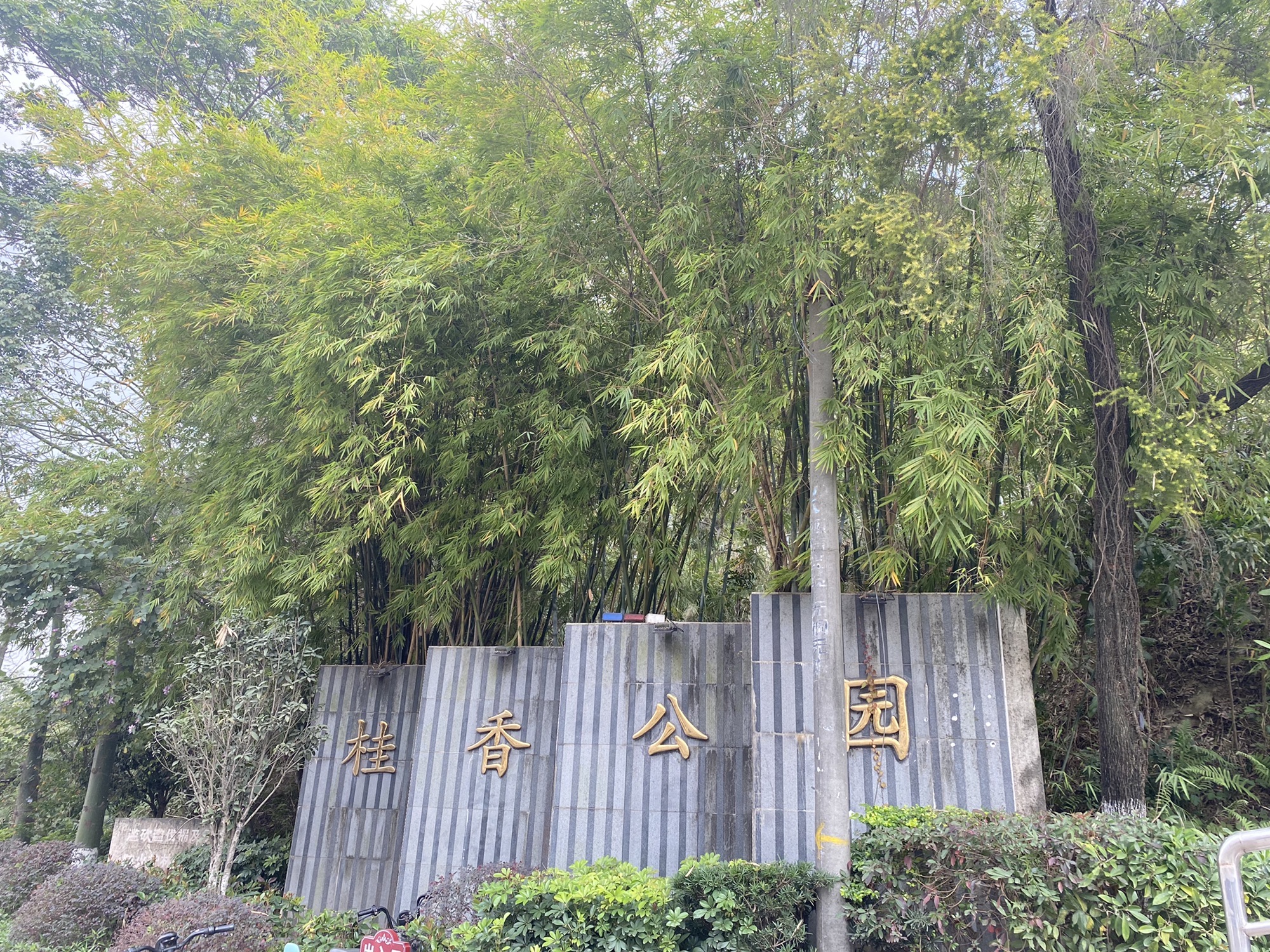 桂香公园旅行图片 1