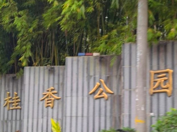 桂香公园旅行图片 1