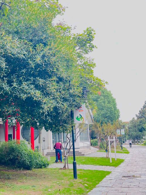 桂香公园旅行图片 1