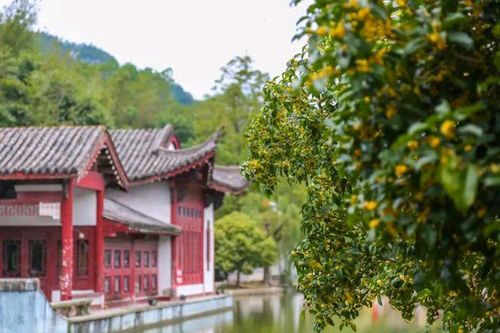 桂香公园旅行图片 3