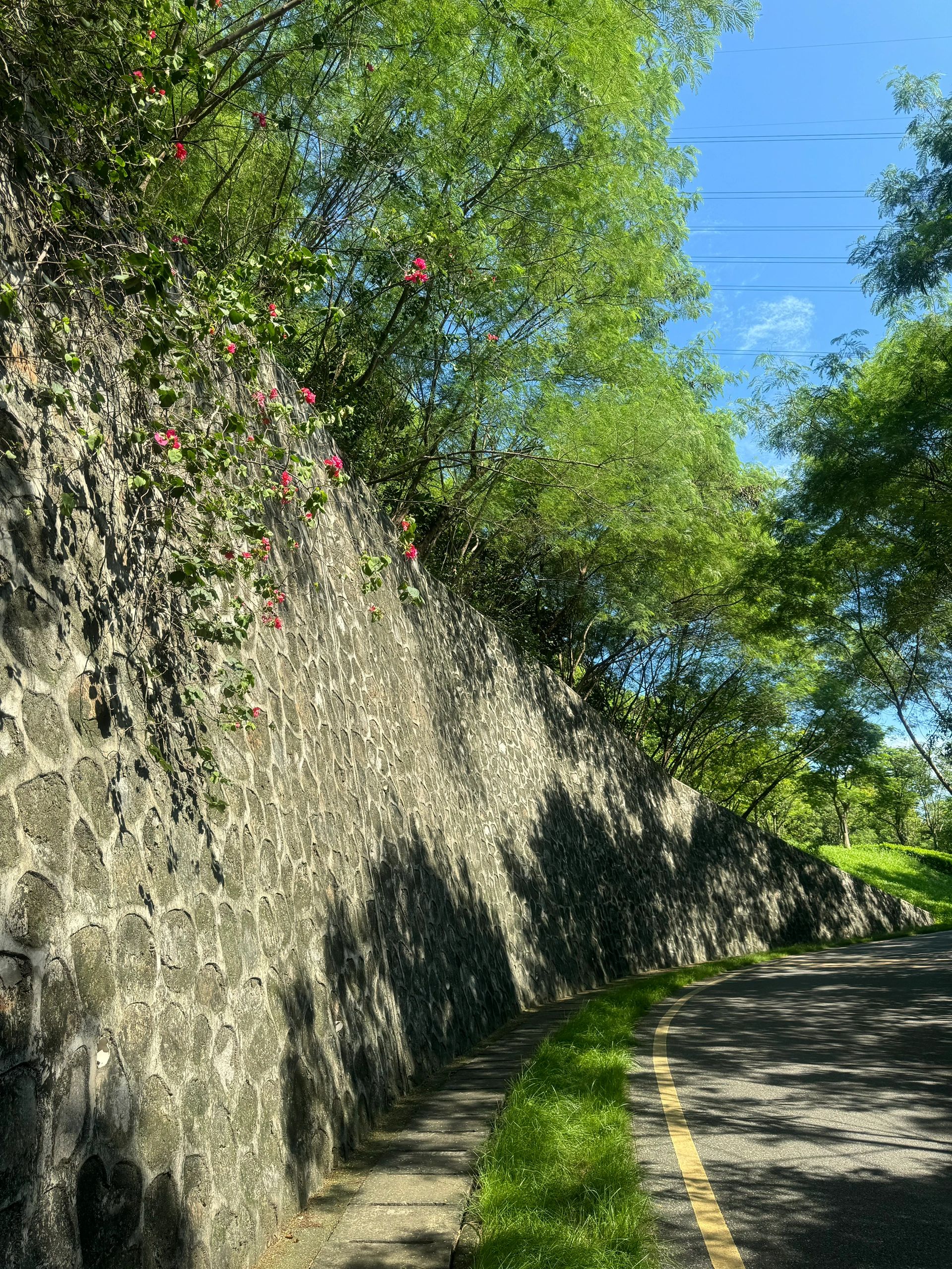 小南山公园旅行图片 2