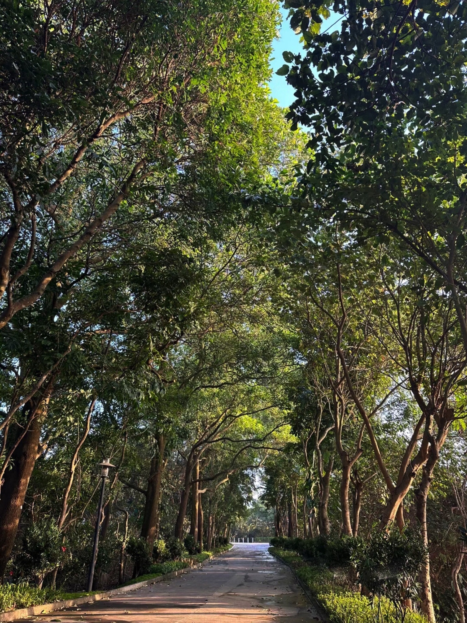 小南山公园旅行图片 1