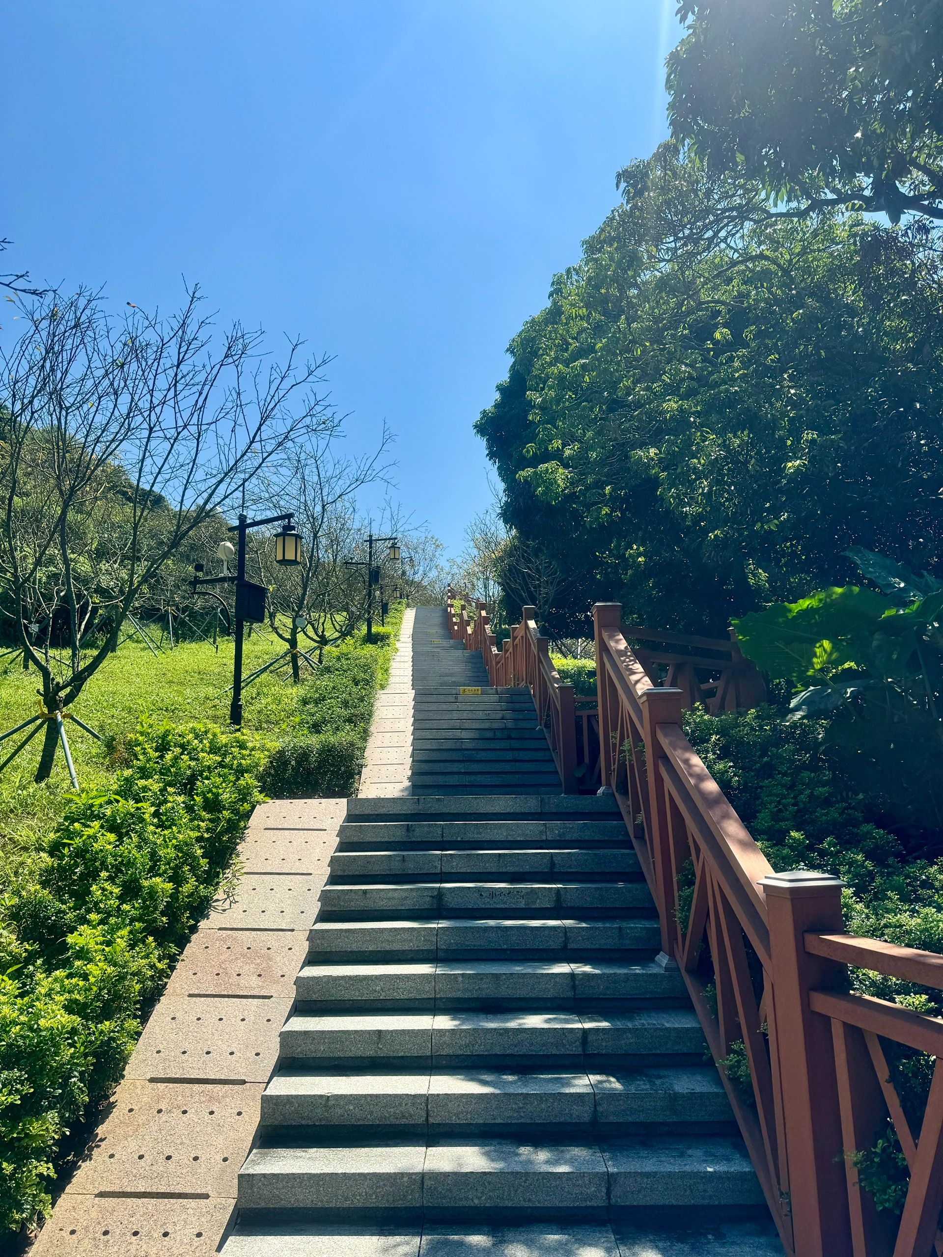 小南山公园旅行图片 1