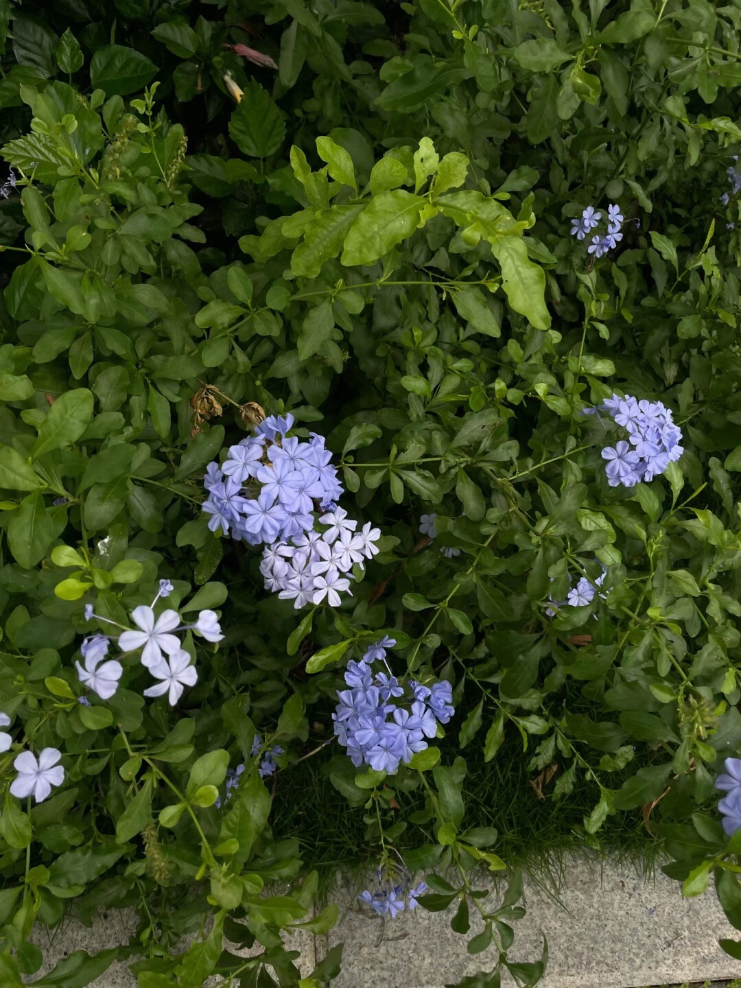 小南山公园旅行图片 2