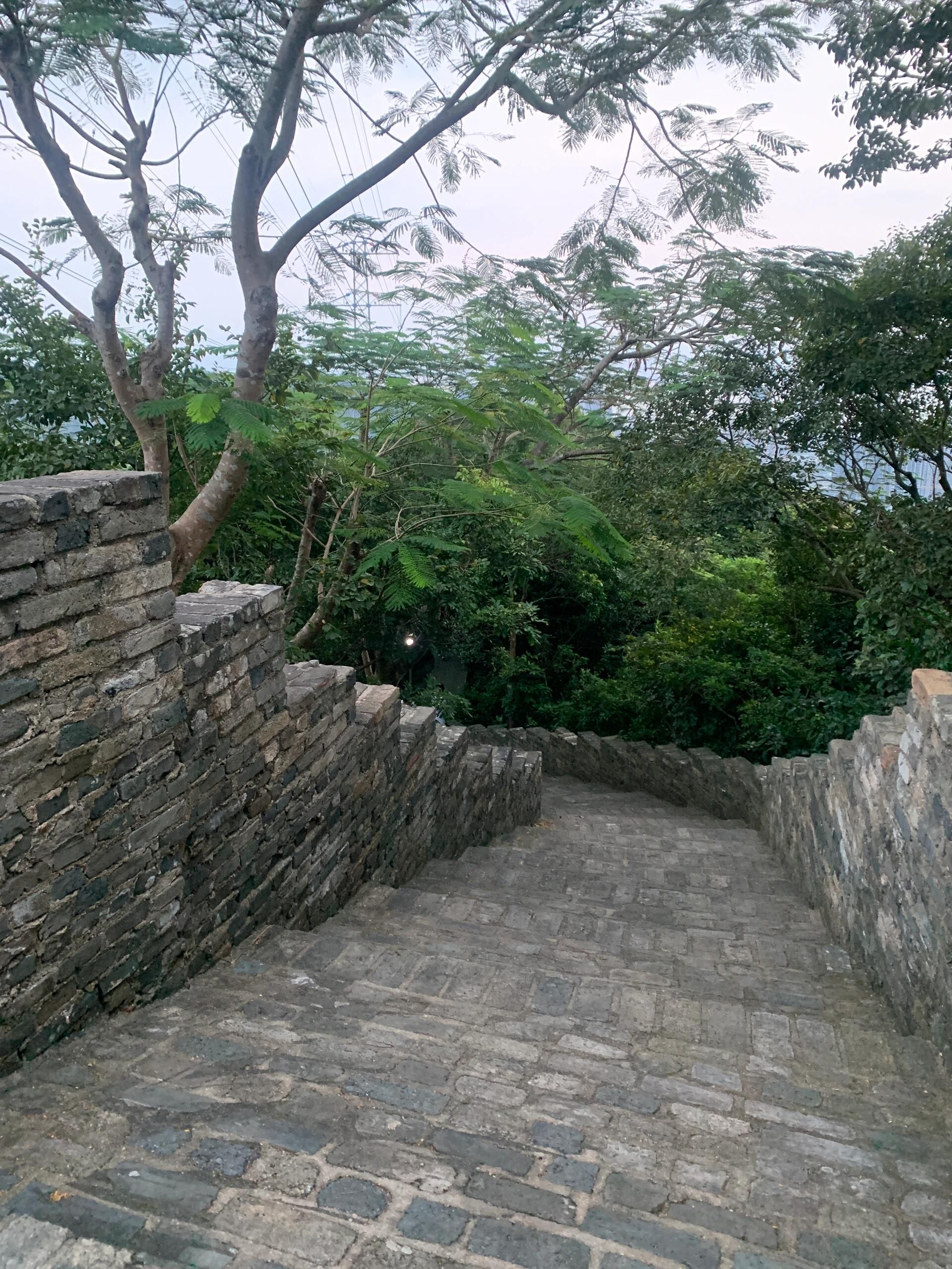 小南山公园旅行图片 1