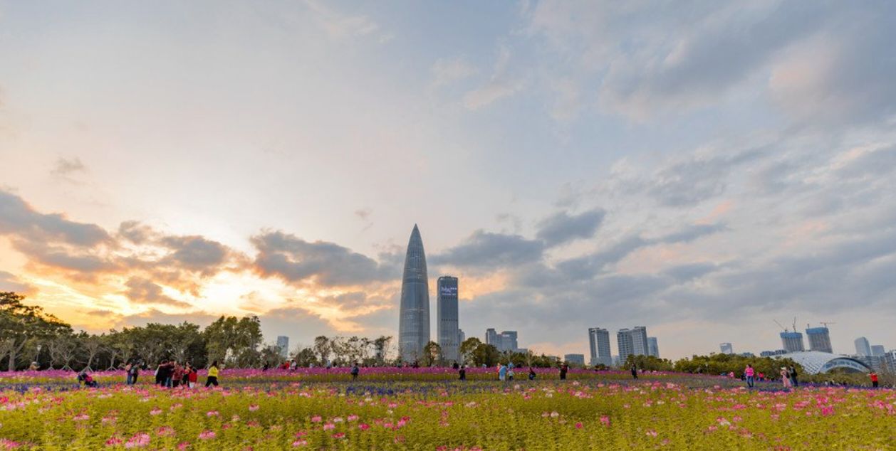 深圳湾公园流花山公园