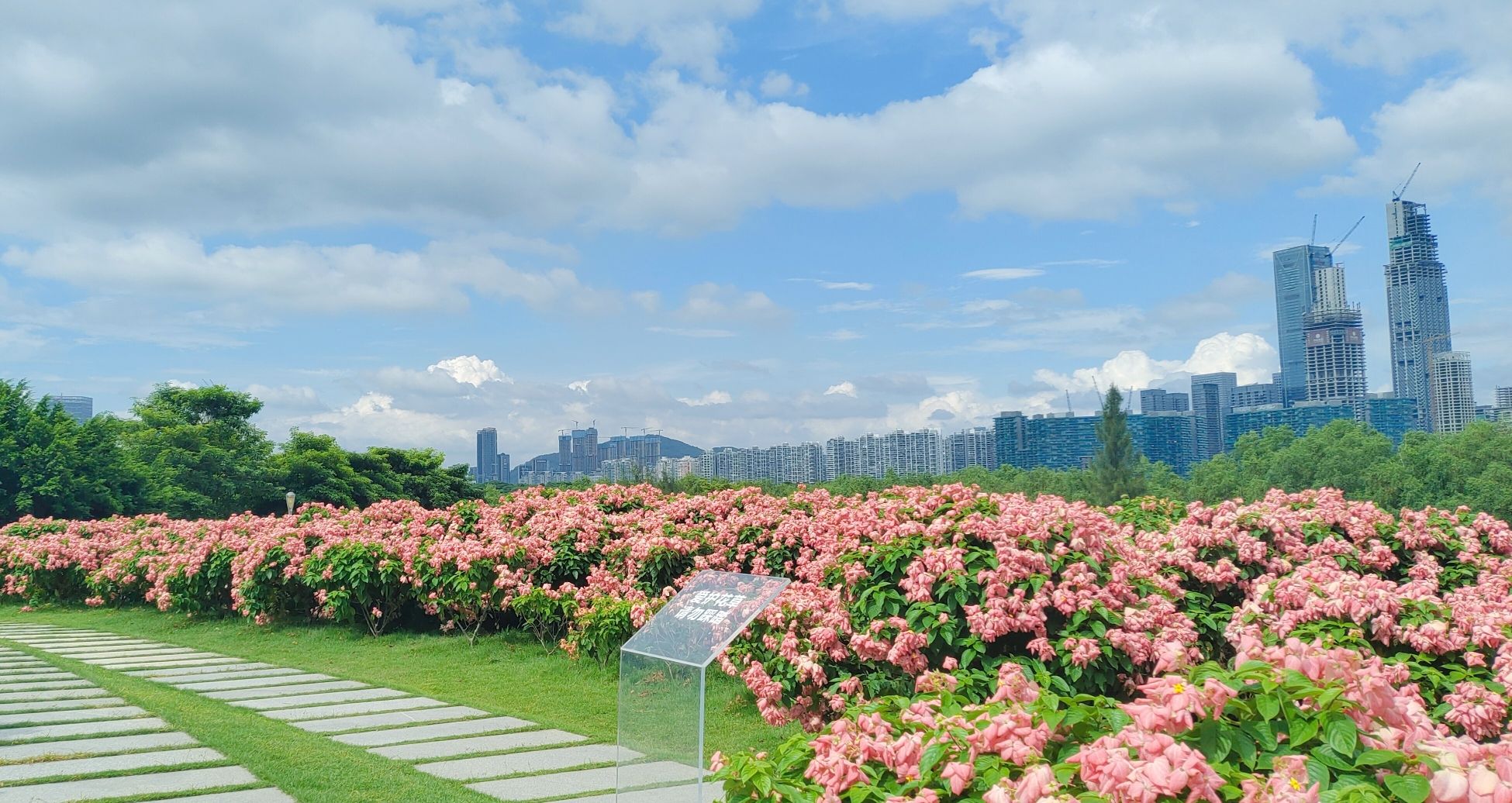 深圳湾公园流花山公园