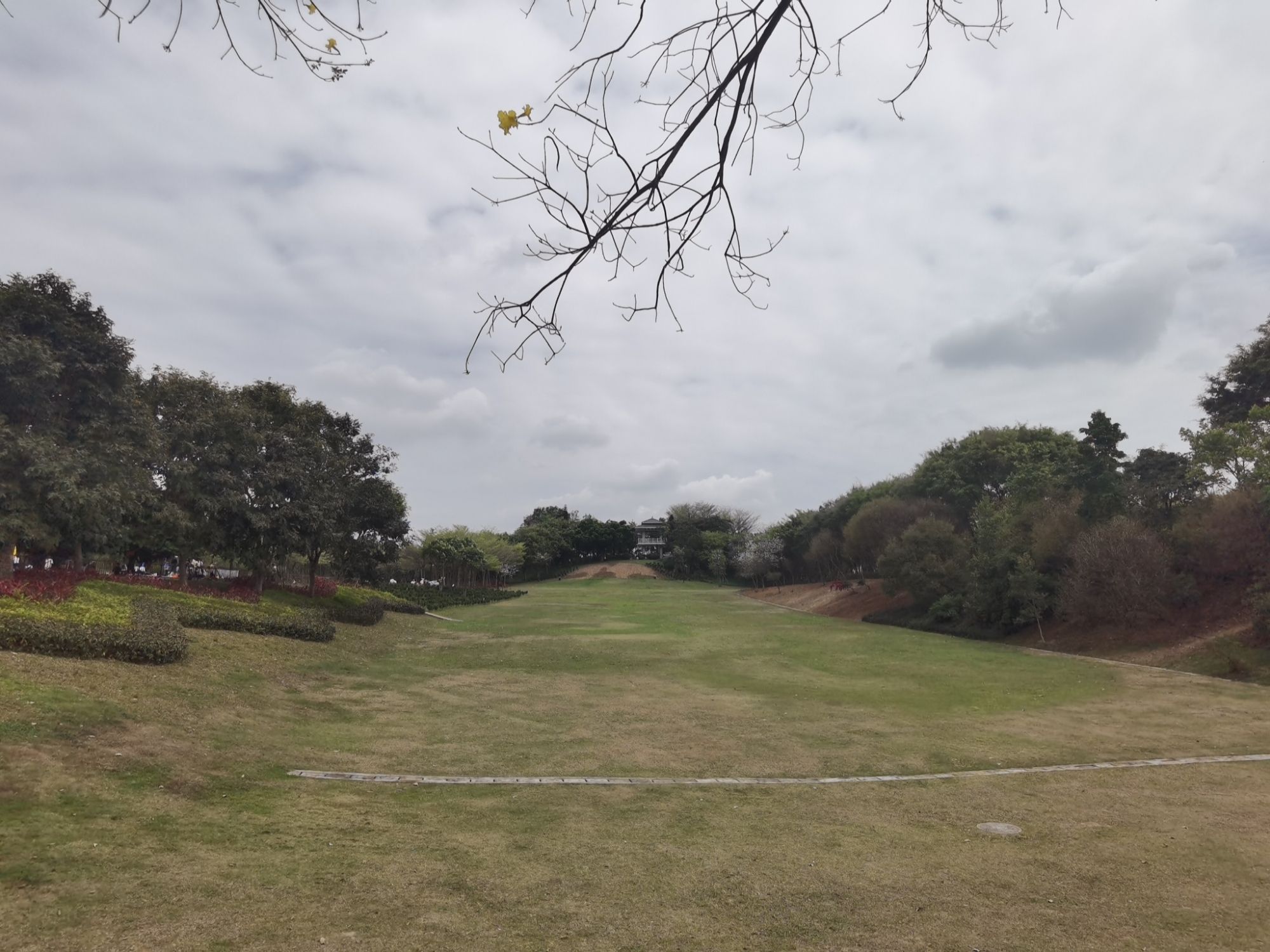 大沙河公园旅行图片 1