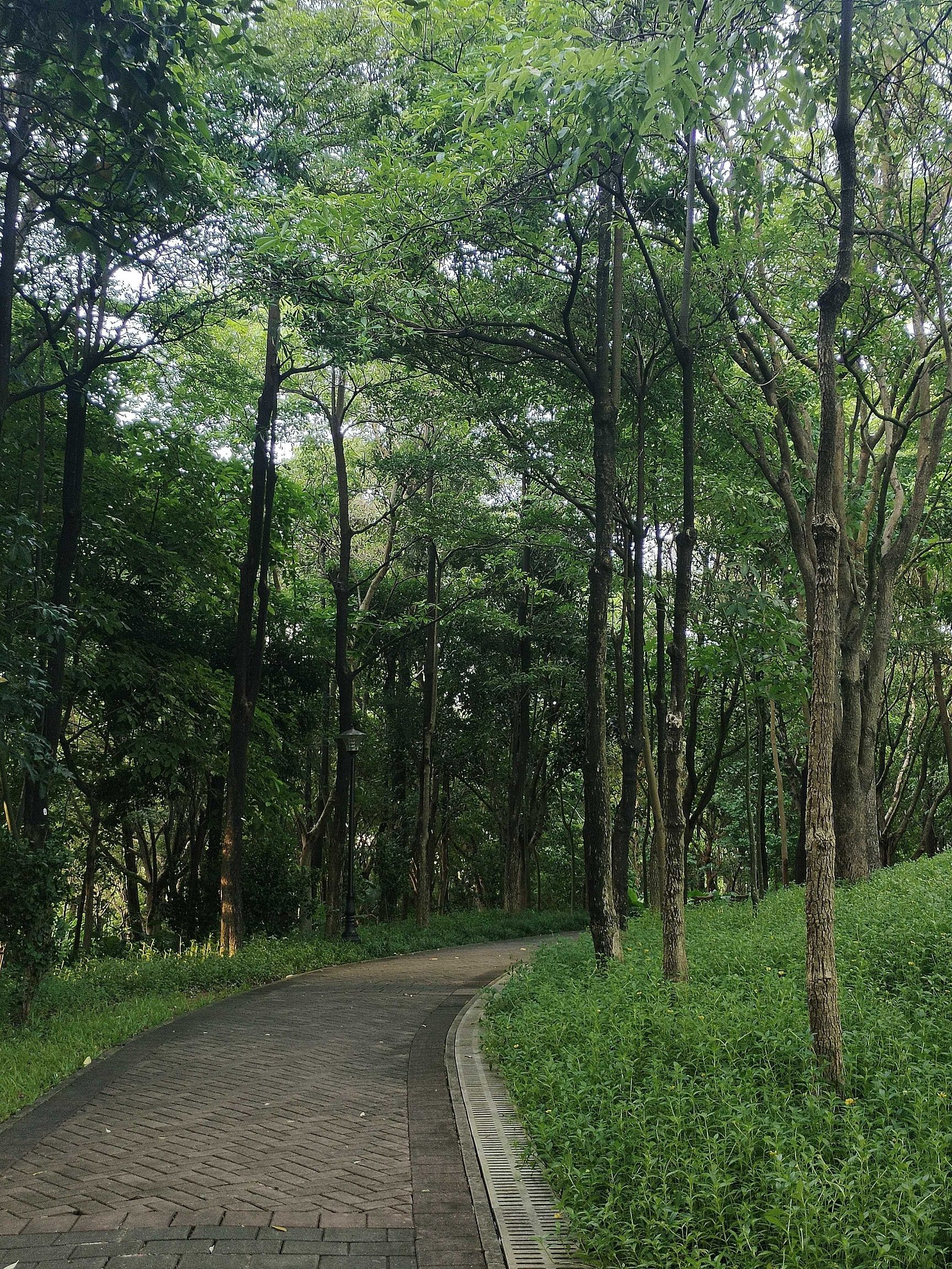 大沙河公园旅行图片 1