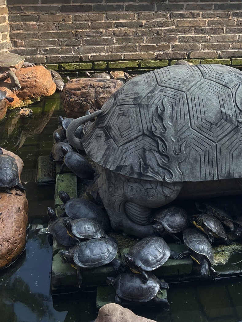 天后博物馆旅行图片 1