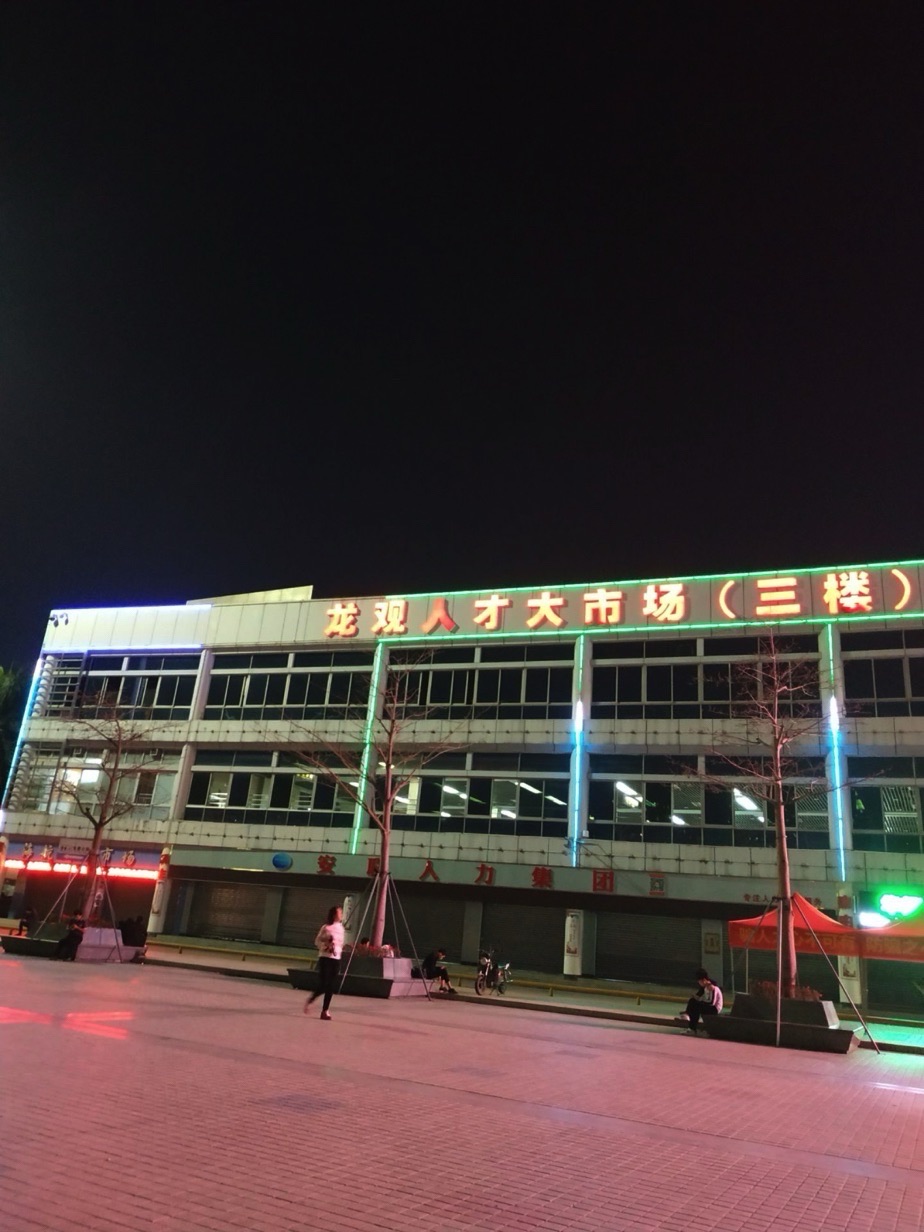 龙观人才市场