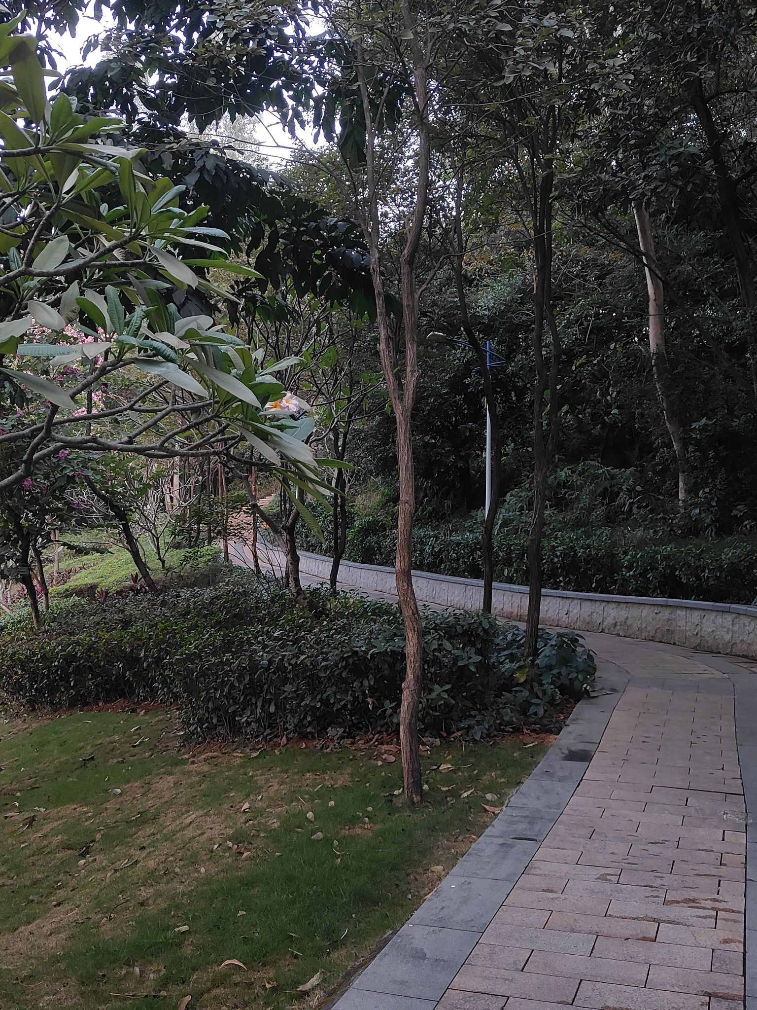 松元厦社区公园旅行图片 2