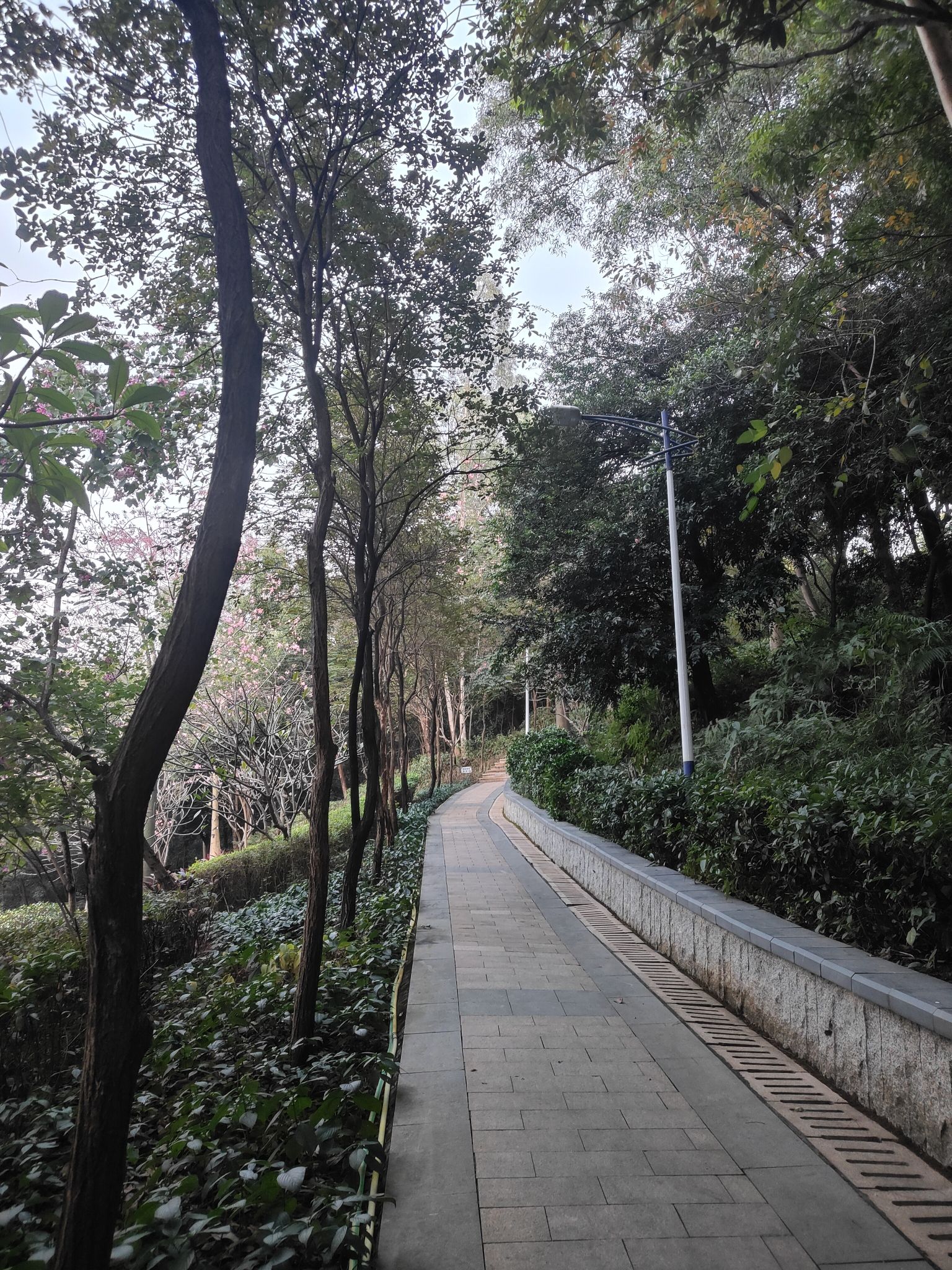 松元厦社区公园旅行图片 3