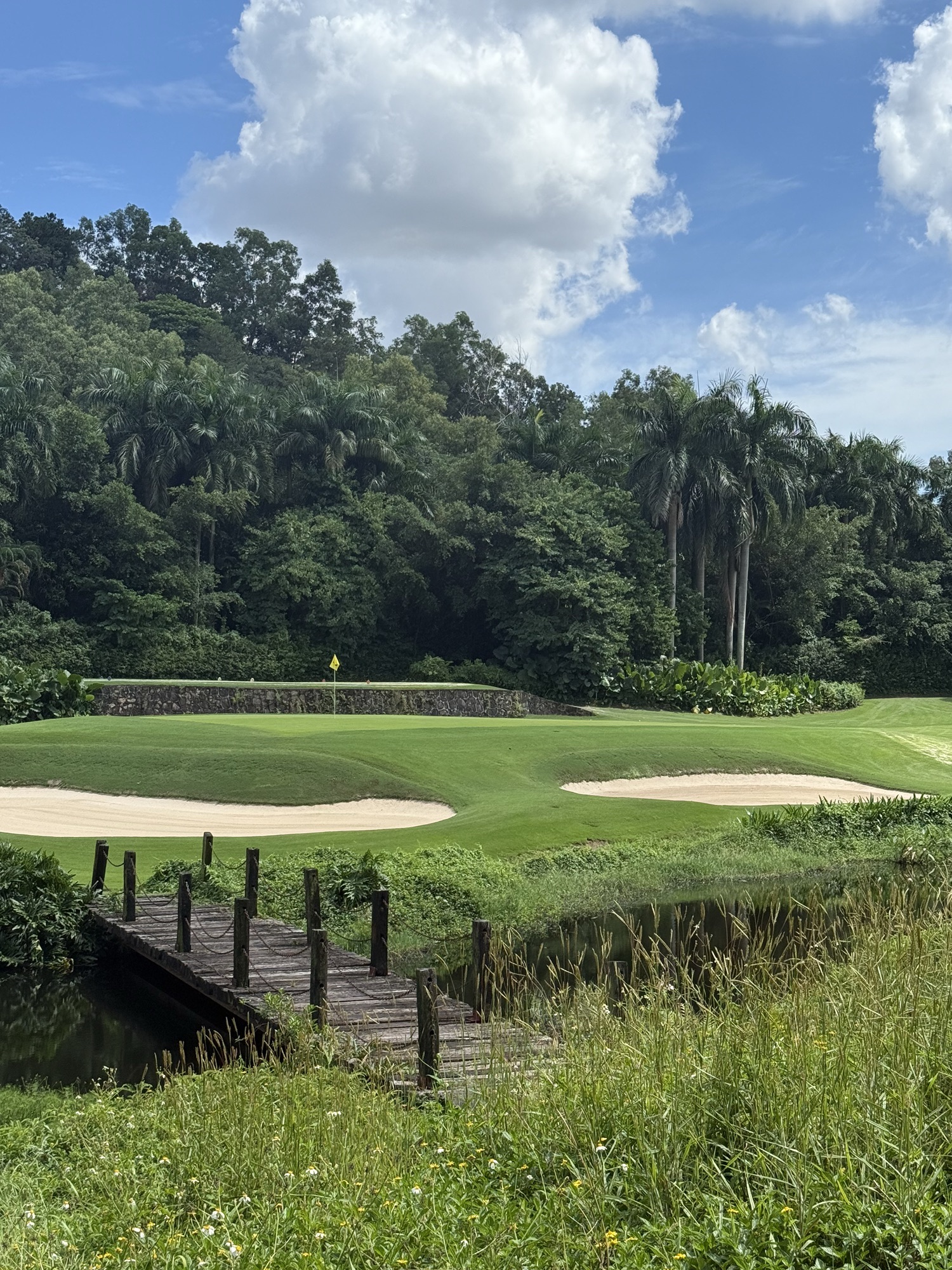 场地封面-张连伟球场