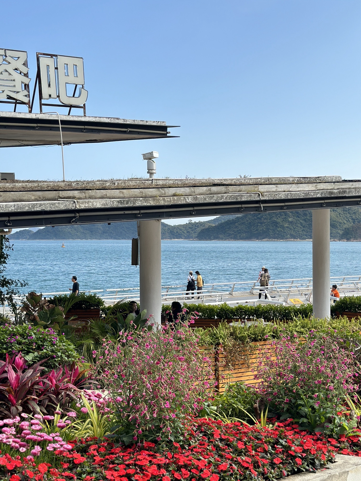 盐田区海滨栈道健身广场旅行图片 2