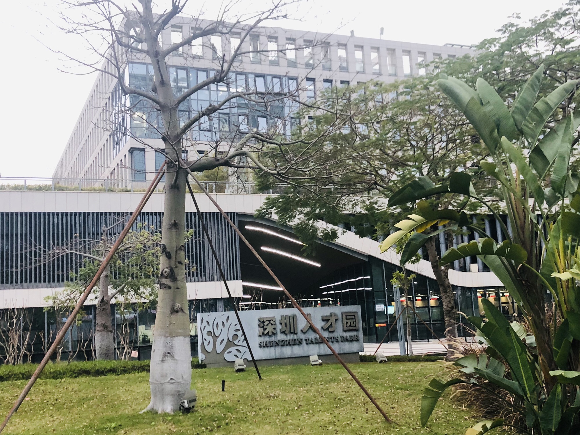 深圳人才园