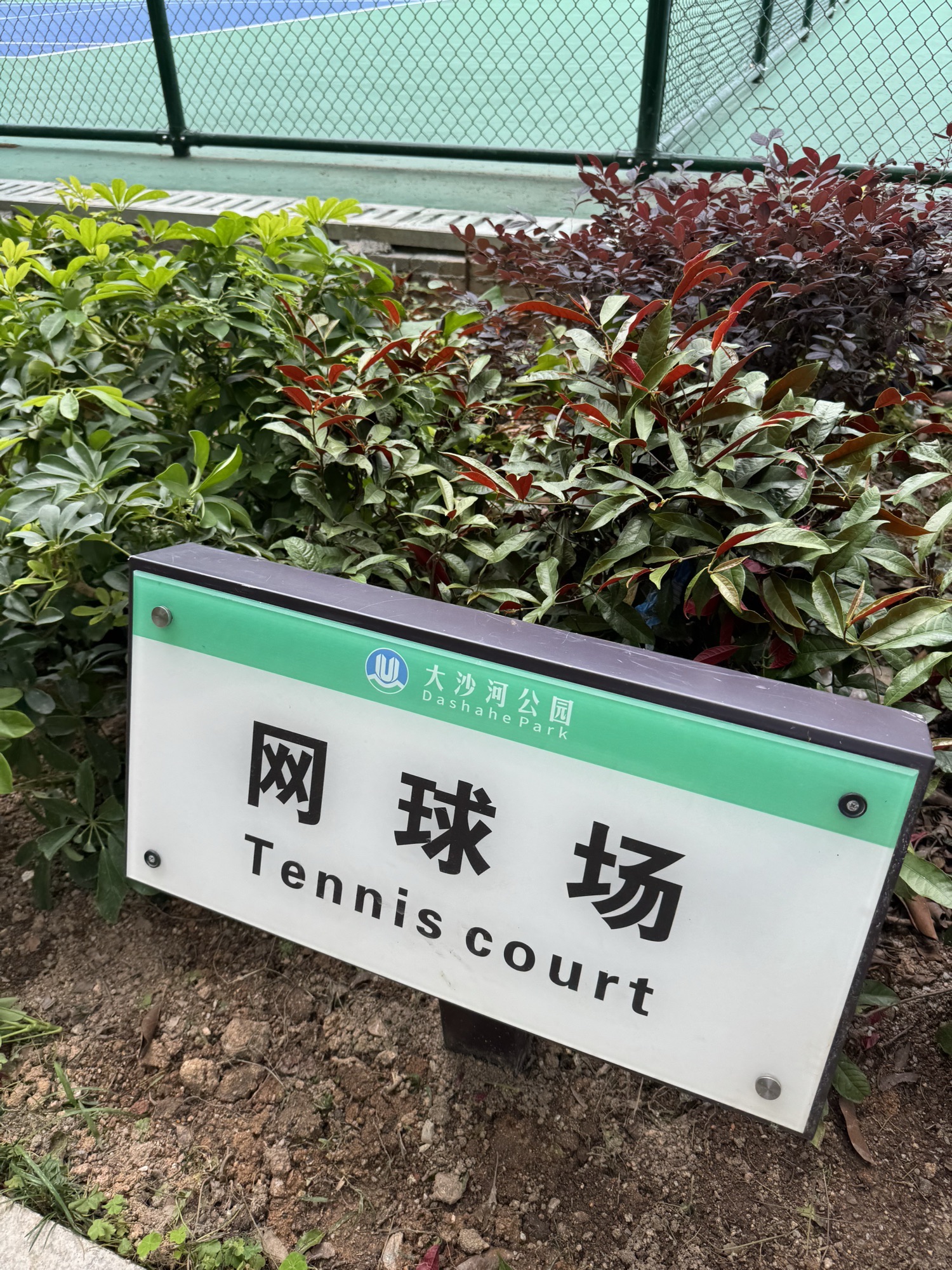 场地封面-沙河公园网球场
