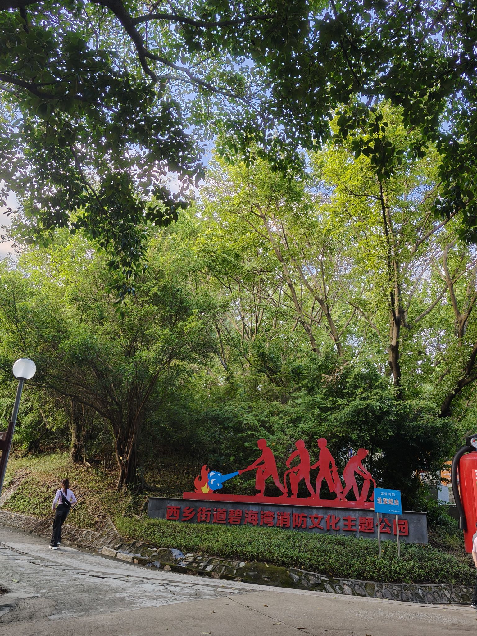 碧海湾公园旅行图片 3