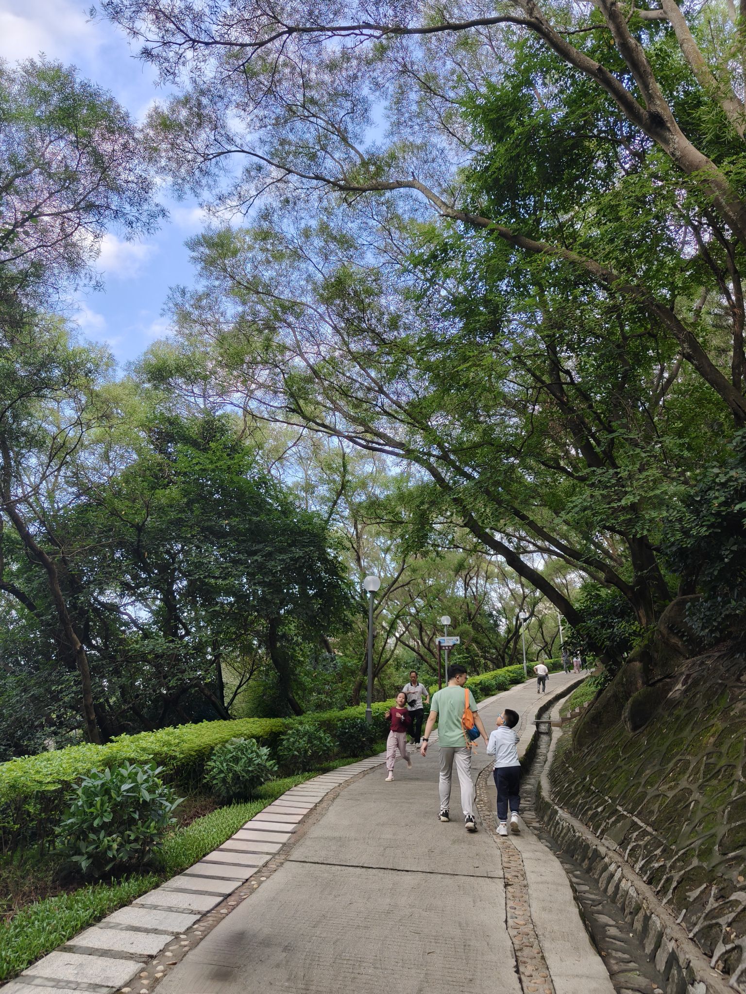 碧海湾公园旅行图片 1