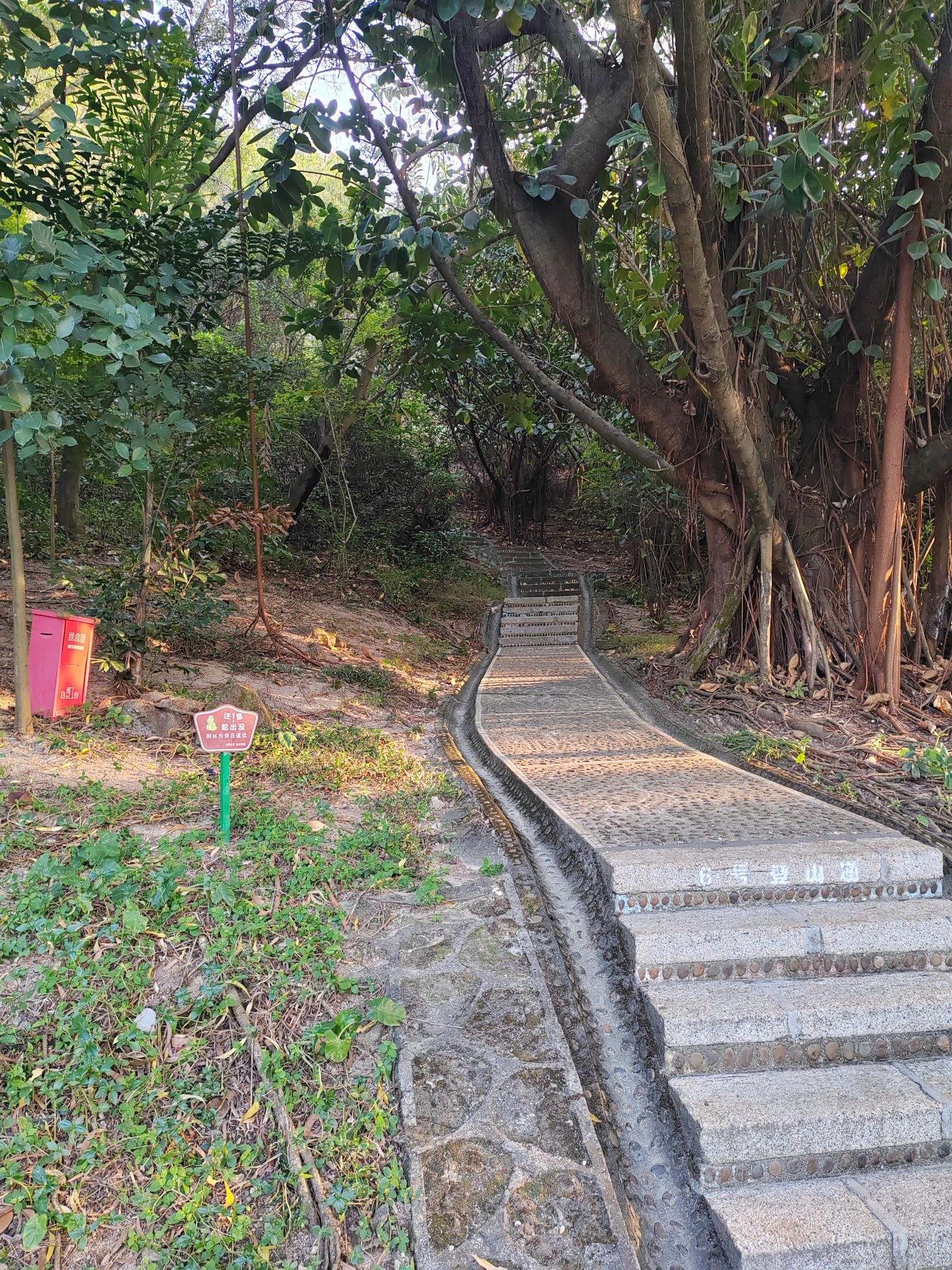 碧海湾公园旅行图片 2