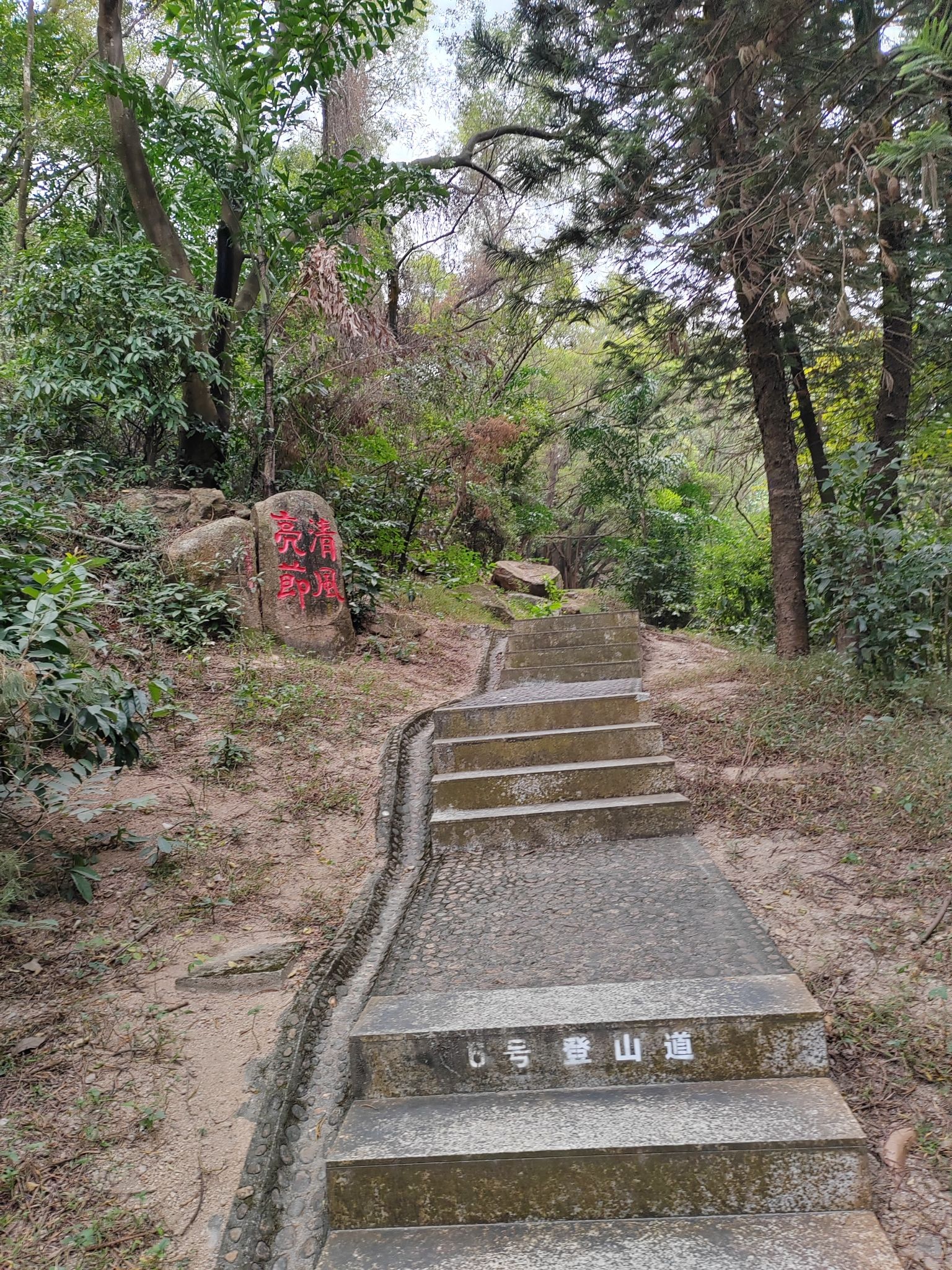 碧海湾公园旅行图片 2