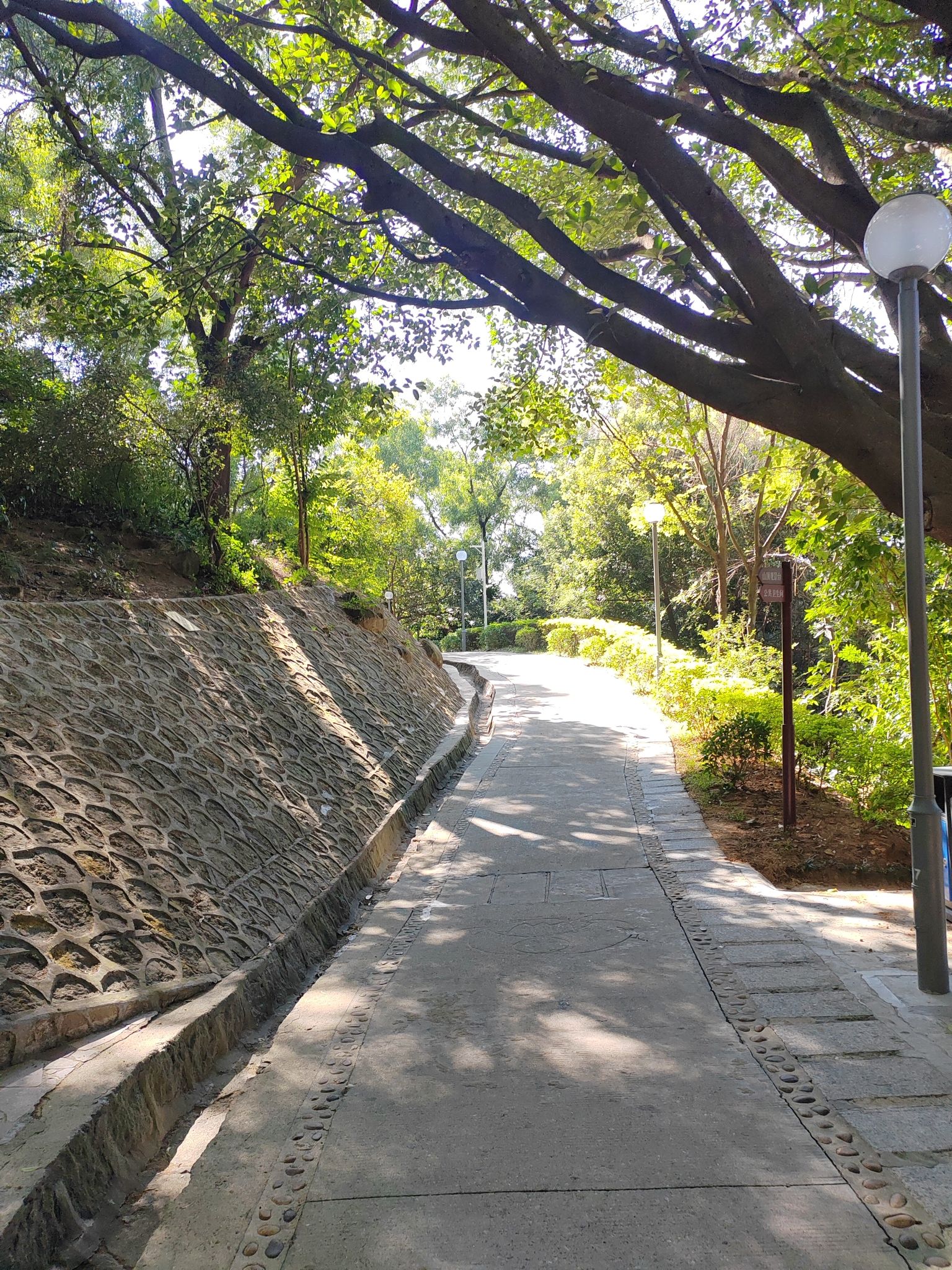 碧海湾公园旅行图片 3
