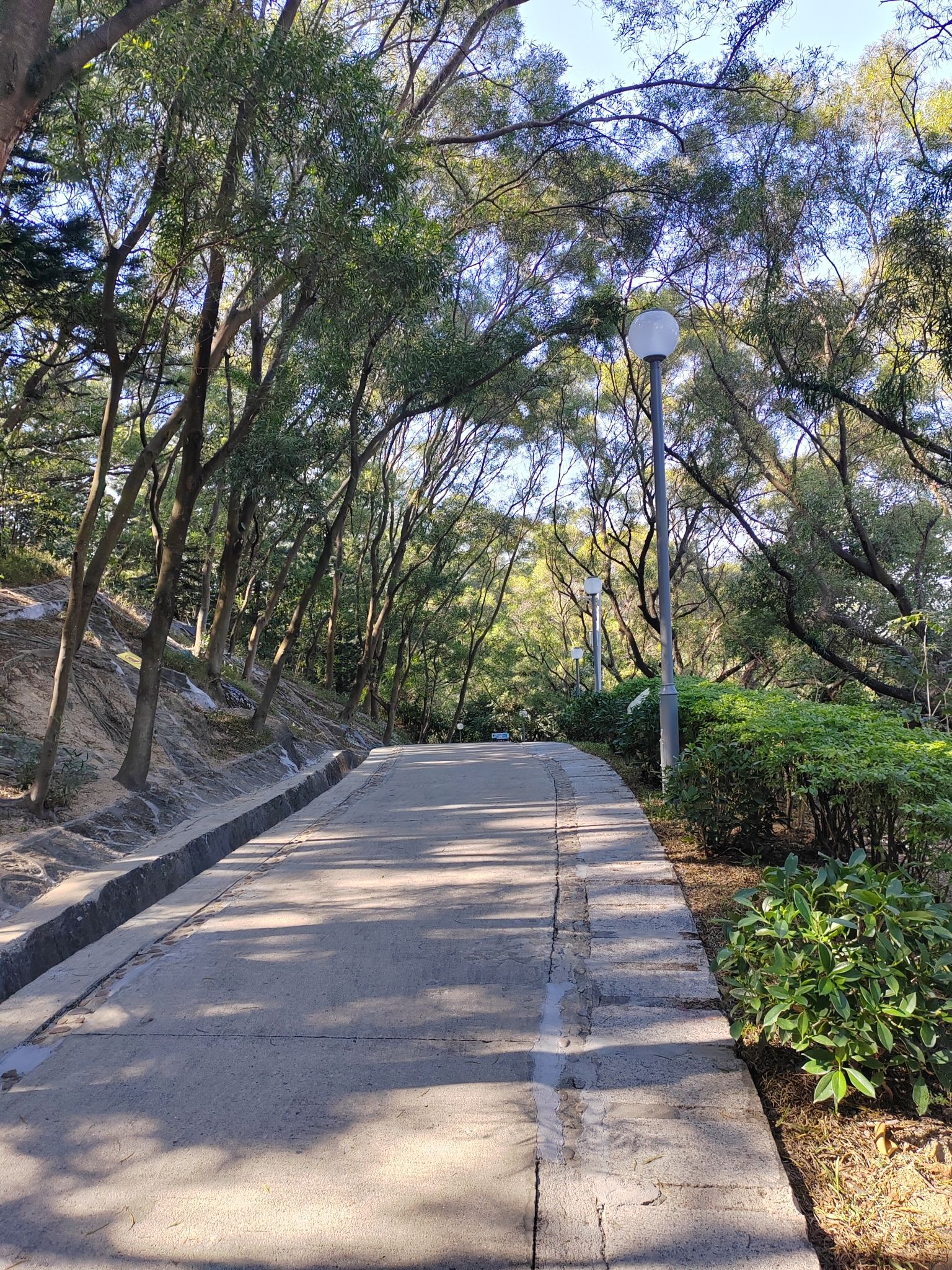 碧海湾公园旅行图片 2