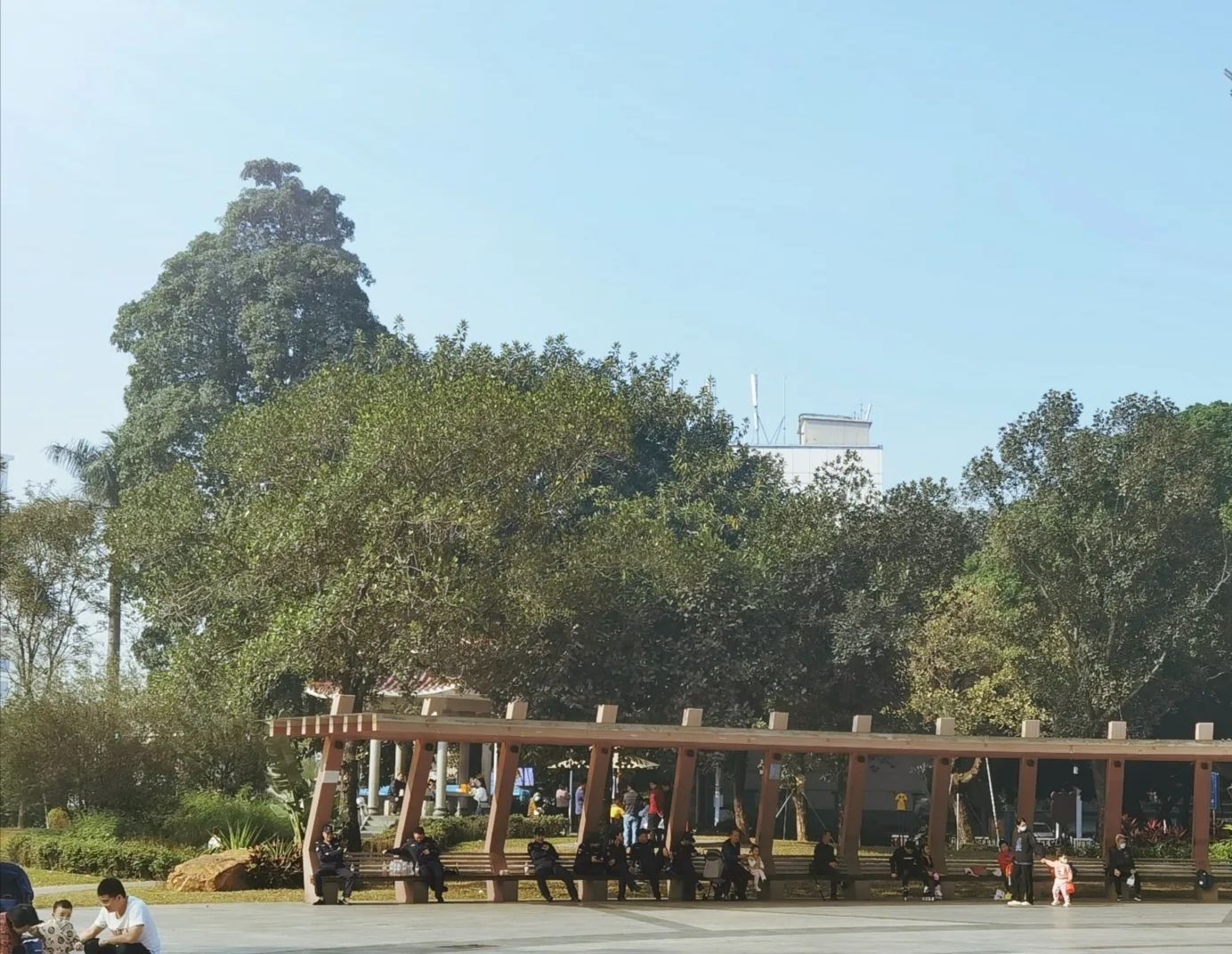 黄田公园旅行图片 3