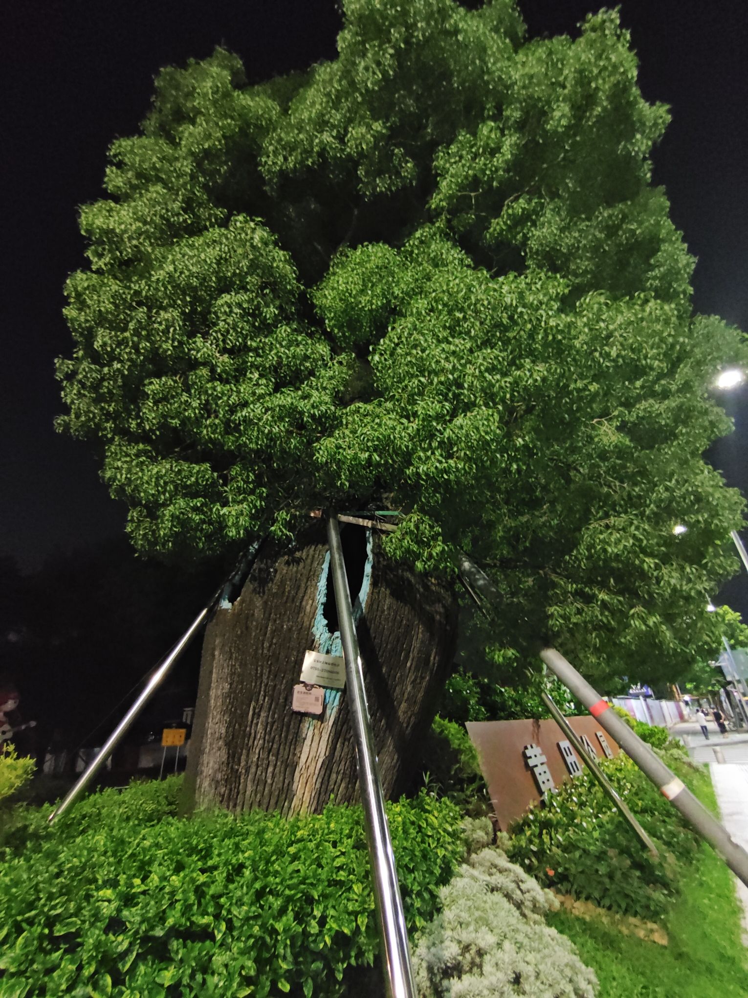 黄田公园旅行图片 2