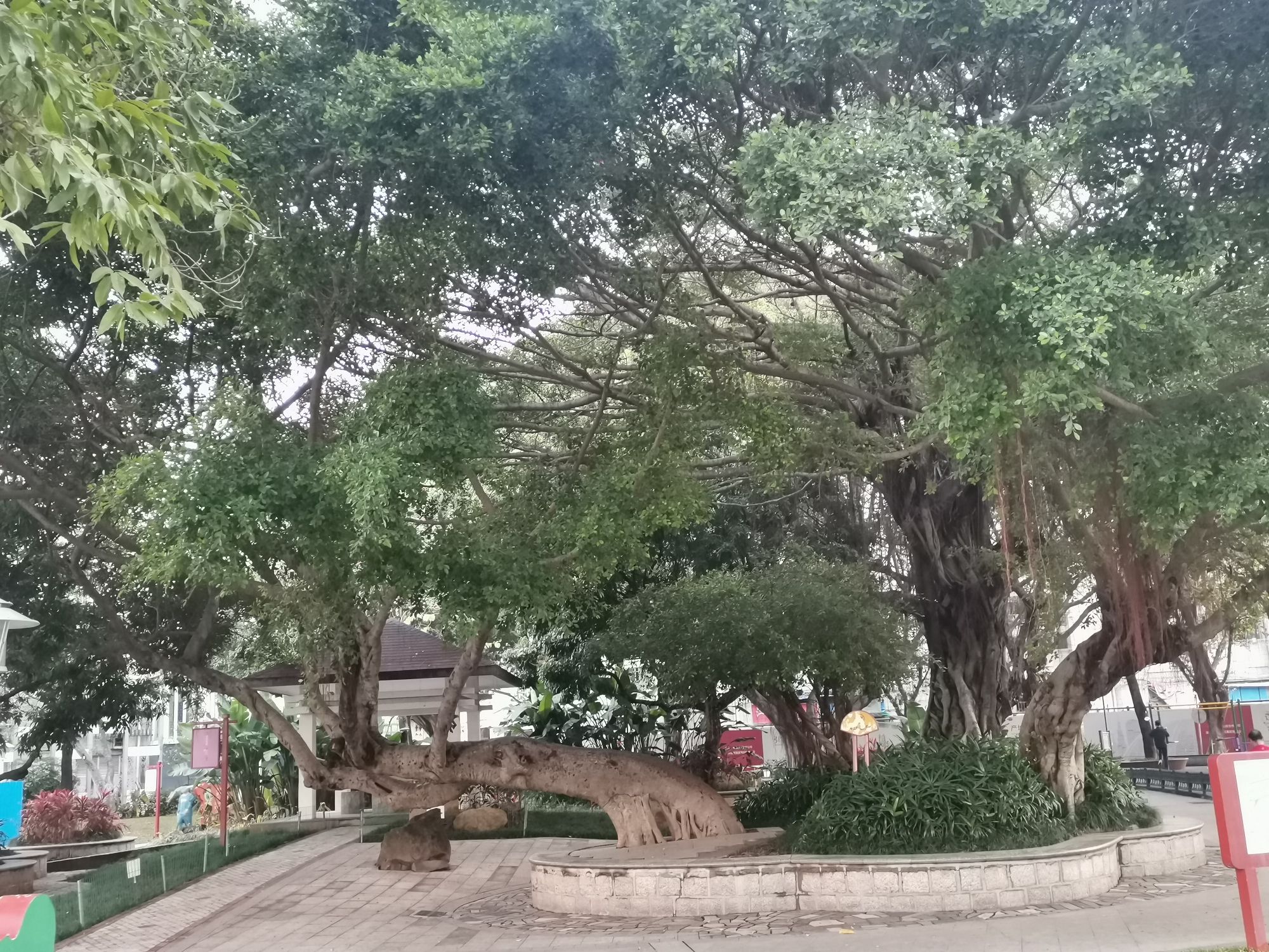 黄田公园旅行图片 3