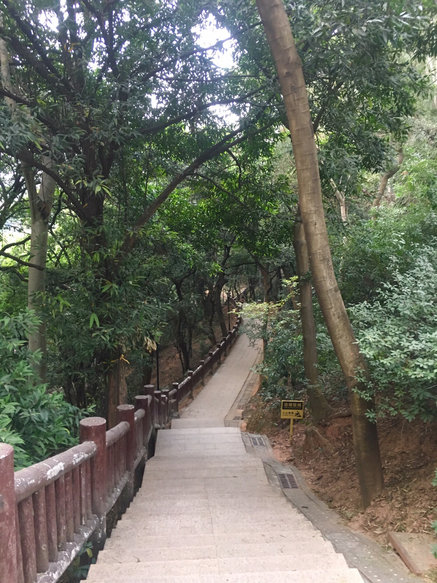 弓村社区公园旅行图片 3