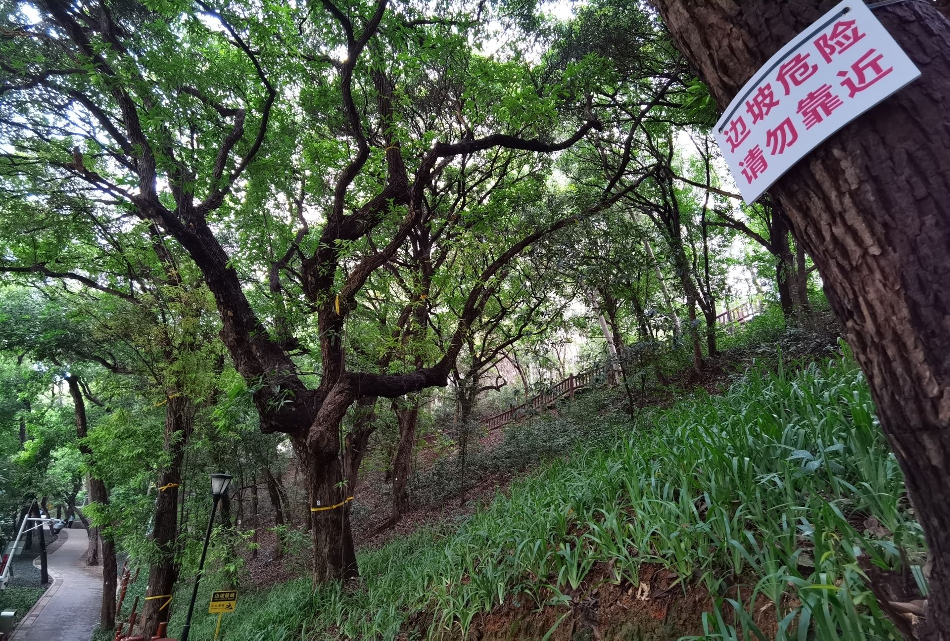 弓村社区公园旅行图片 3